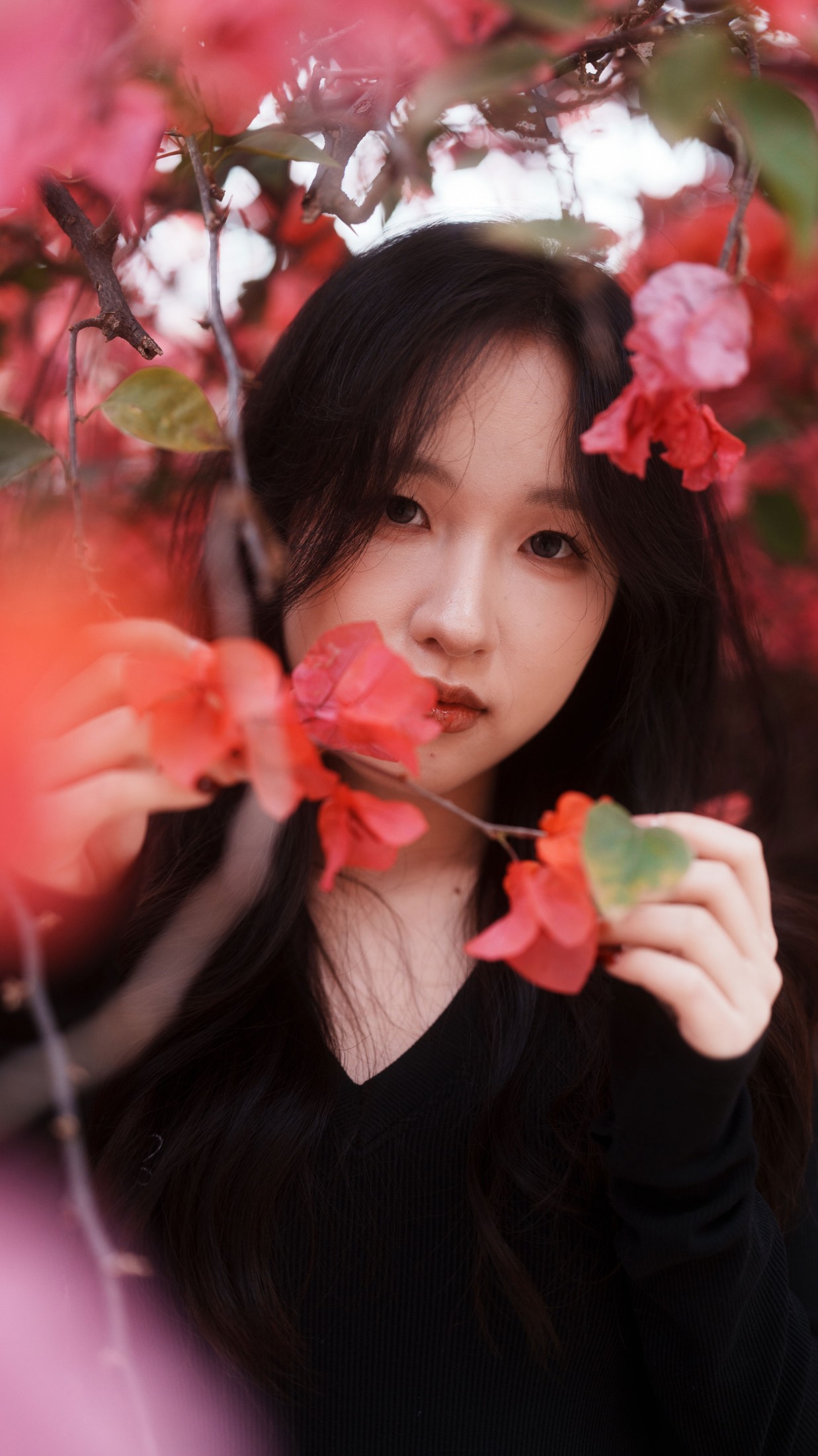 图片[4] - 《三角梅美脸》[53P] - 机器猫次元 - 机器猫次元