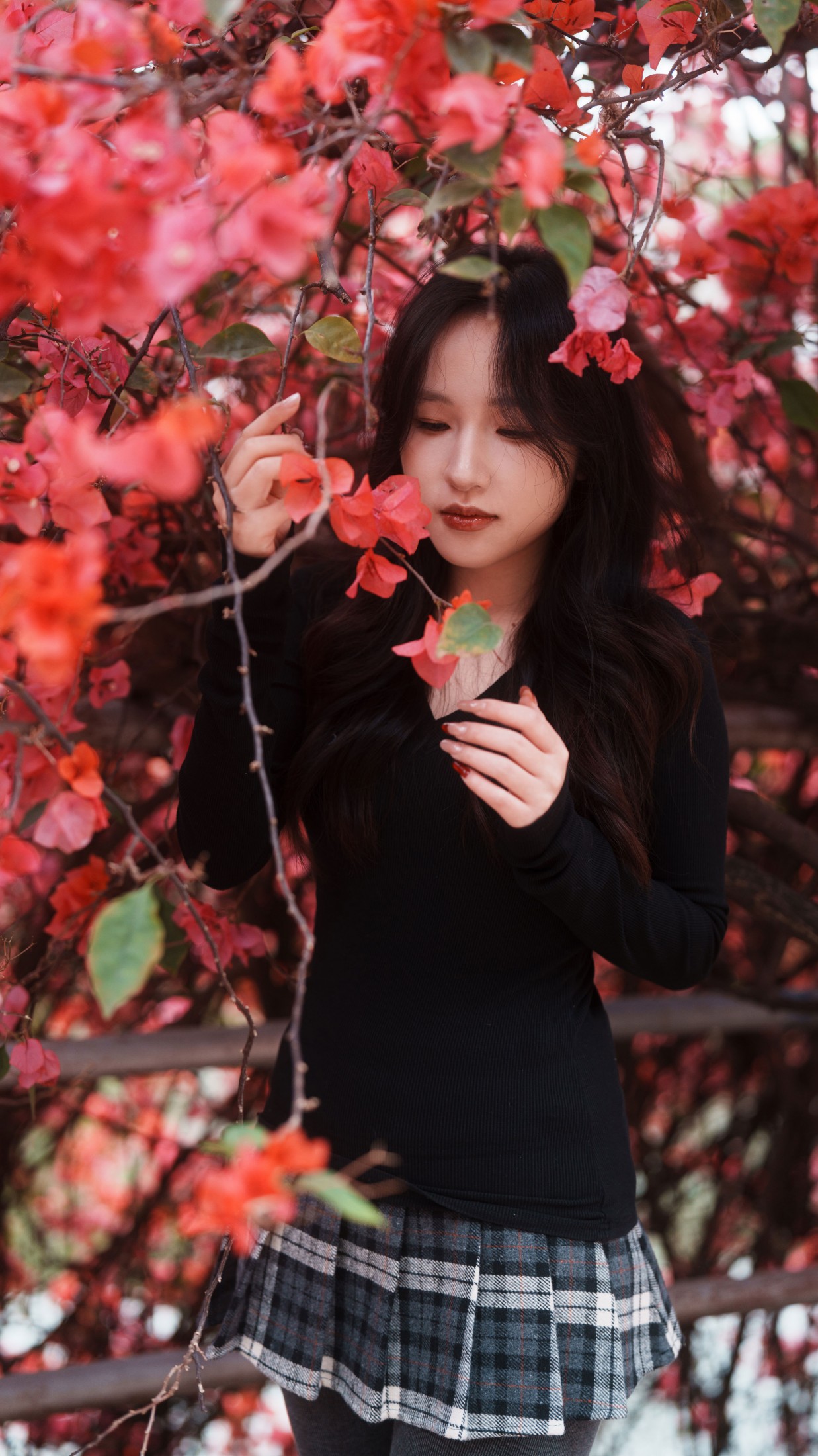 图片[2] - 《三角梅美脸》[53P] - 机器猫次元 - 机器猫次元