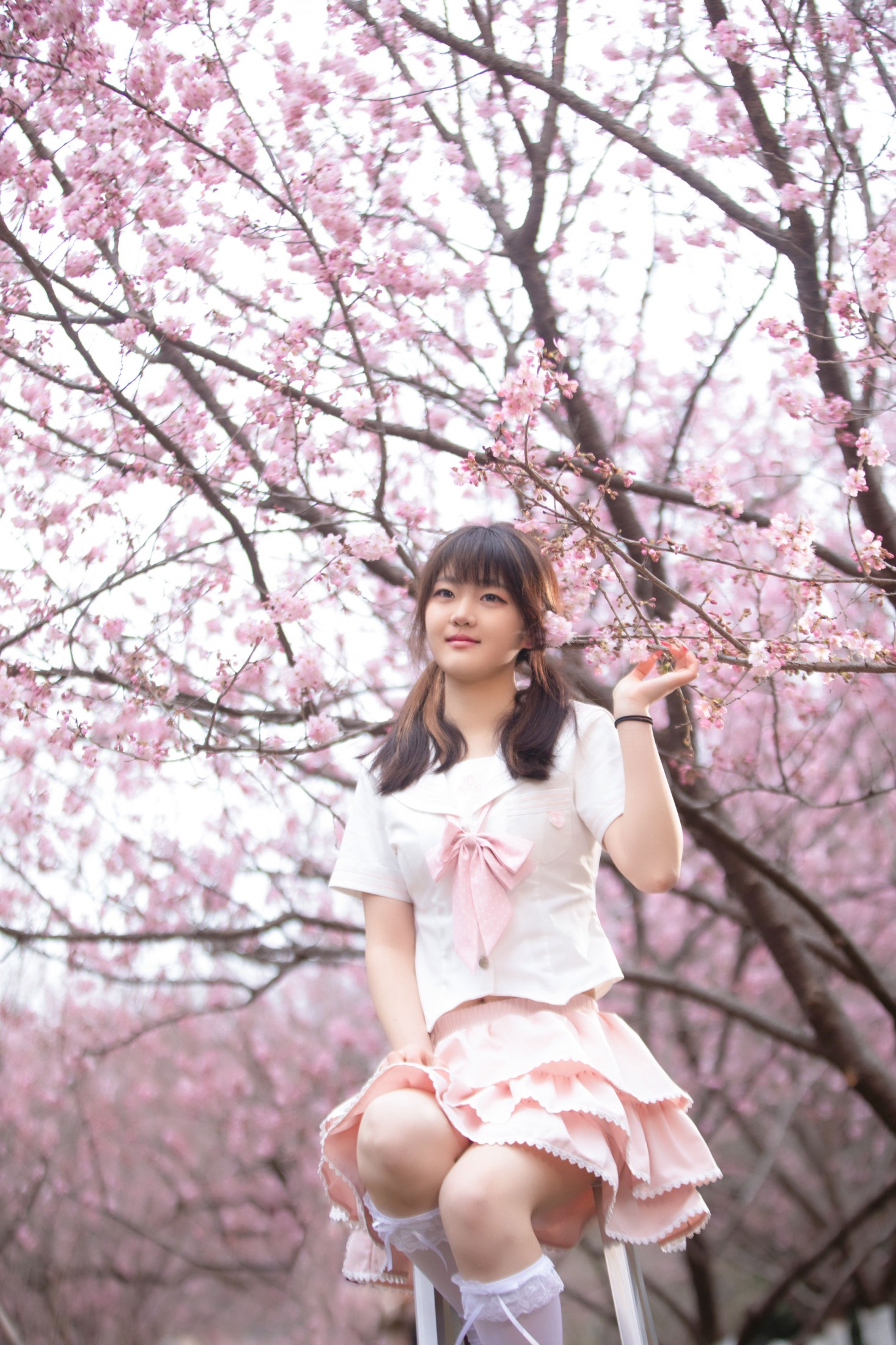 图片[1] - 西西 - 《樱花与少女》[10P] - 机器猫次元 - 机器猫次元