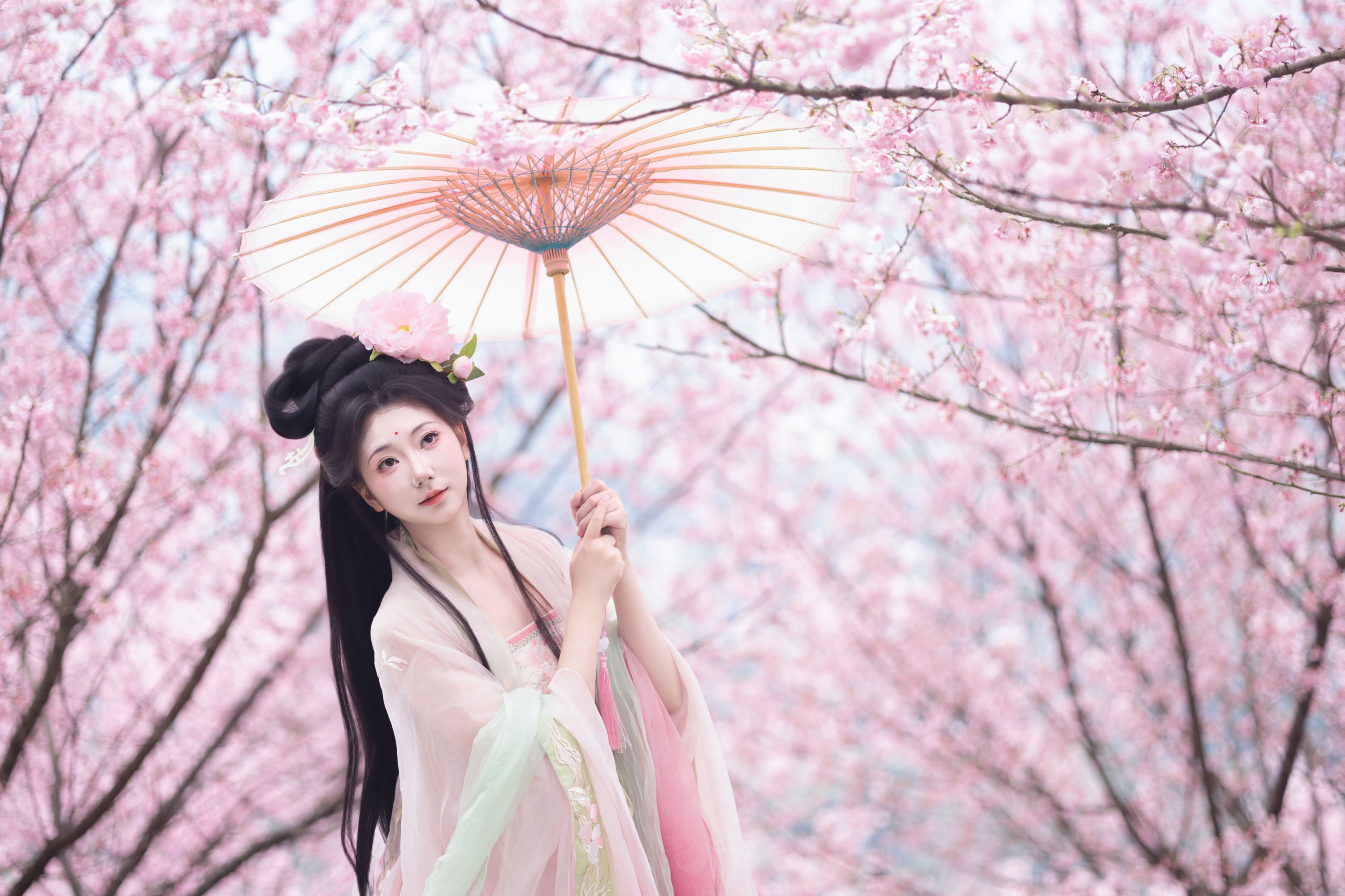 图片[3] - 《春樱》[15P] - 机器猫次元 - 机器猫次元
