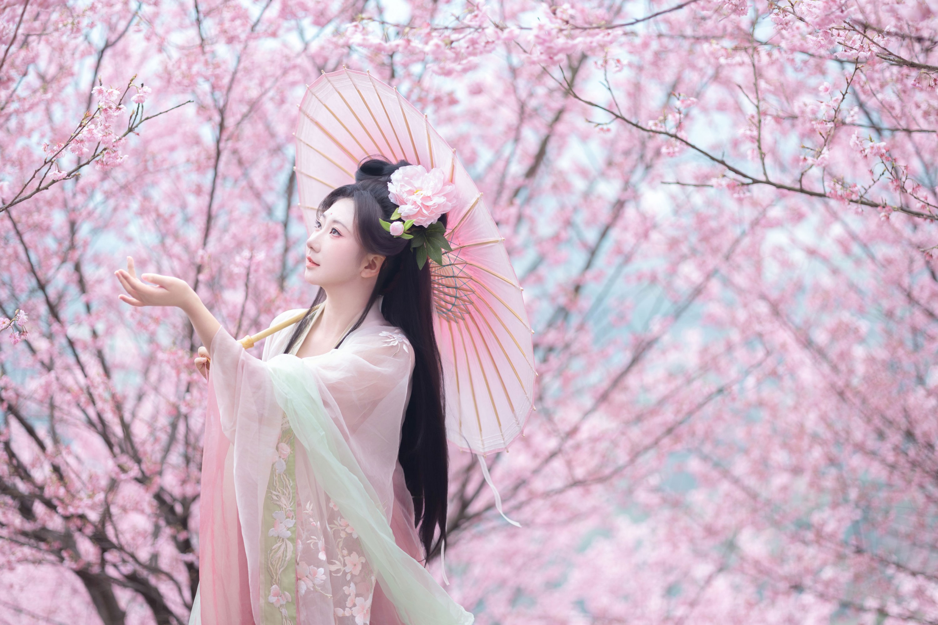 图片[1] - 《春樱》[15P] - 机器猫次元 - 机器猫次元