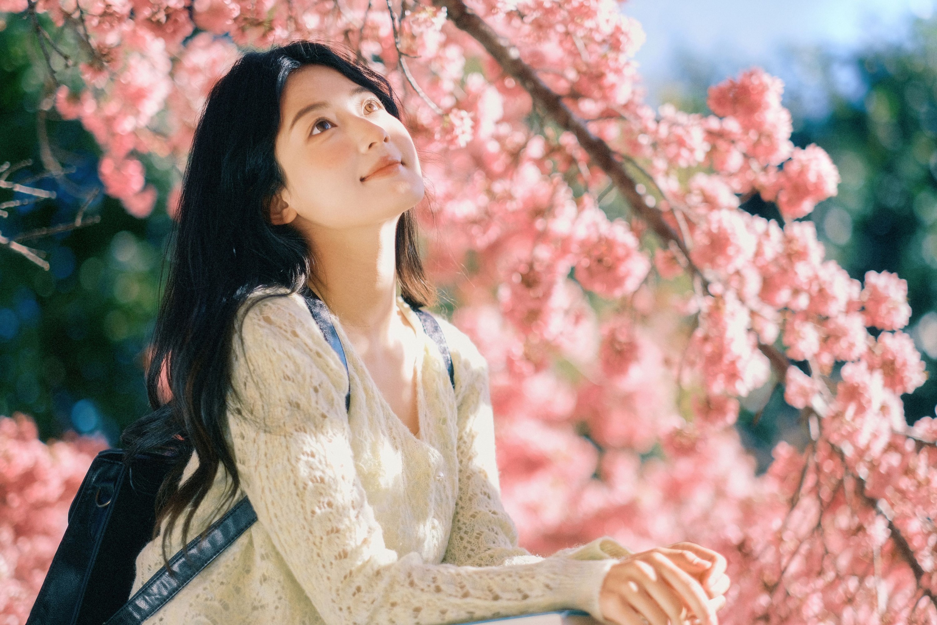 图片[1] - 豆芽菜iFrc - 《冬樱》[22P] - 机器猫次元 - 机器猫次元