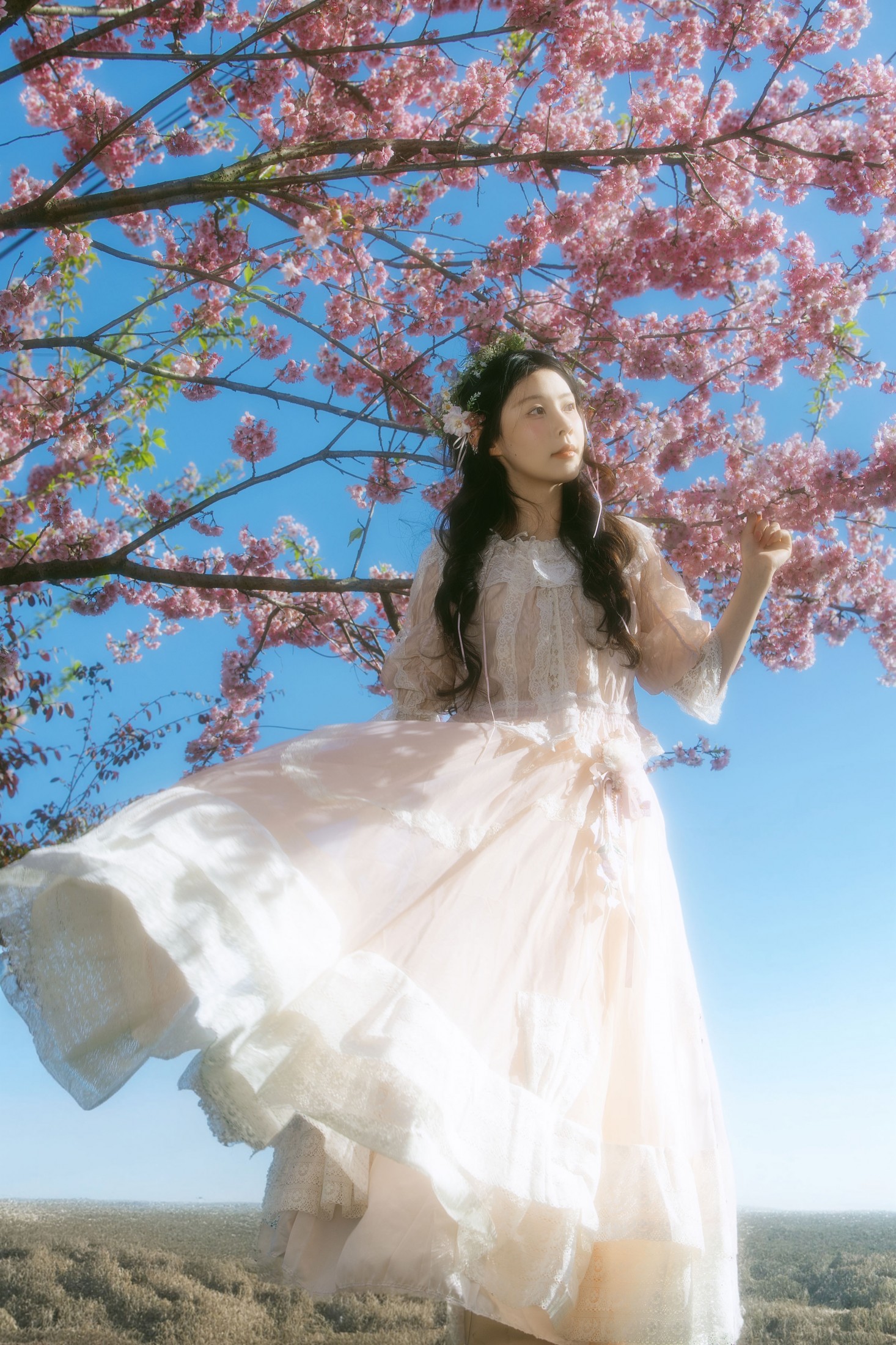 图片[1] - 露丝 - 《春樱》[24P] - 机器猫次元 - 机器猫次元