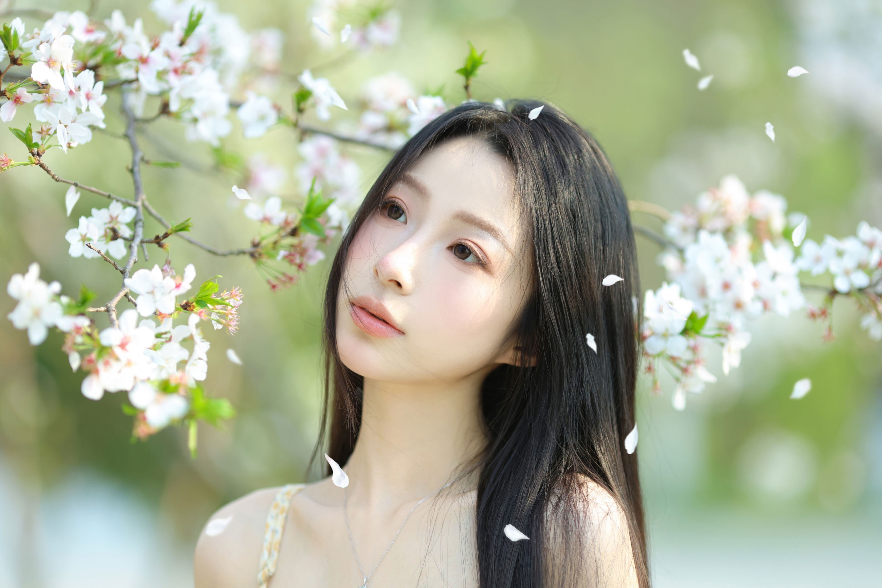 图片[3] - 小吕板板 - 《樱花树下》[14P] - 机器猫次元 - 机器猫次元