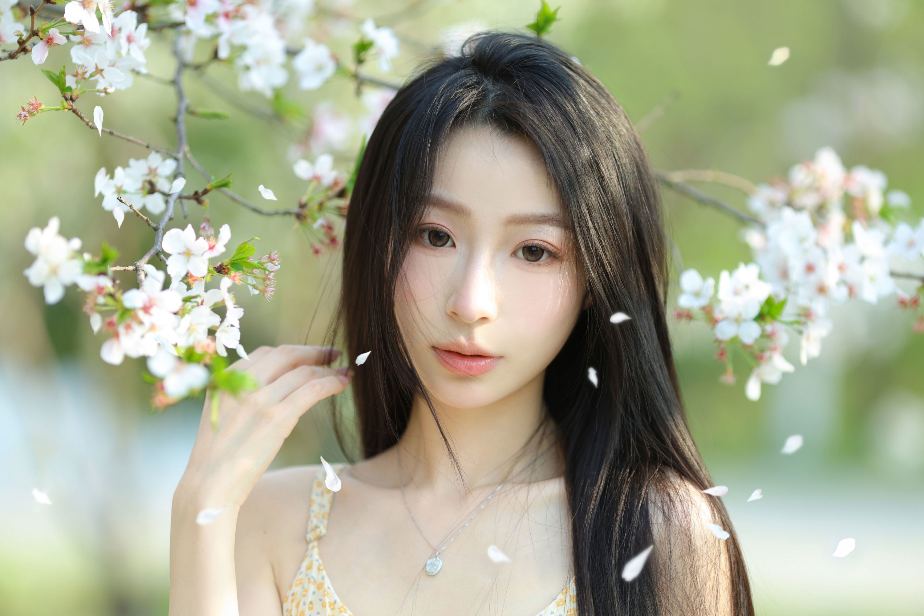 图片[2] - 小吕板板 - 《樱花树下》[14P] - 机器猫次元 - 机器猫次元