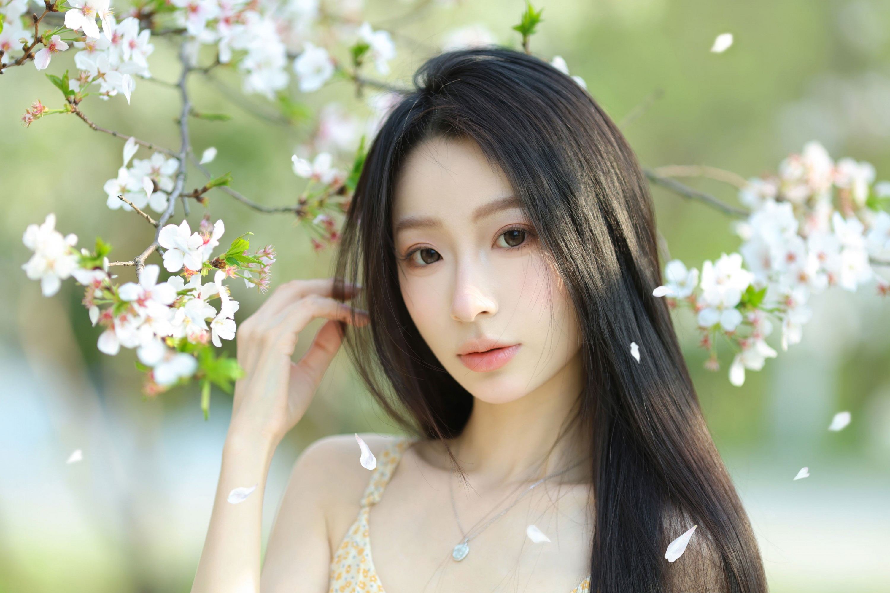 图片[5] - 小吕板板 - 《樱花树下》[14P] - 机器猫次元 - 机器猫次元