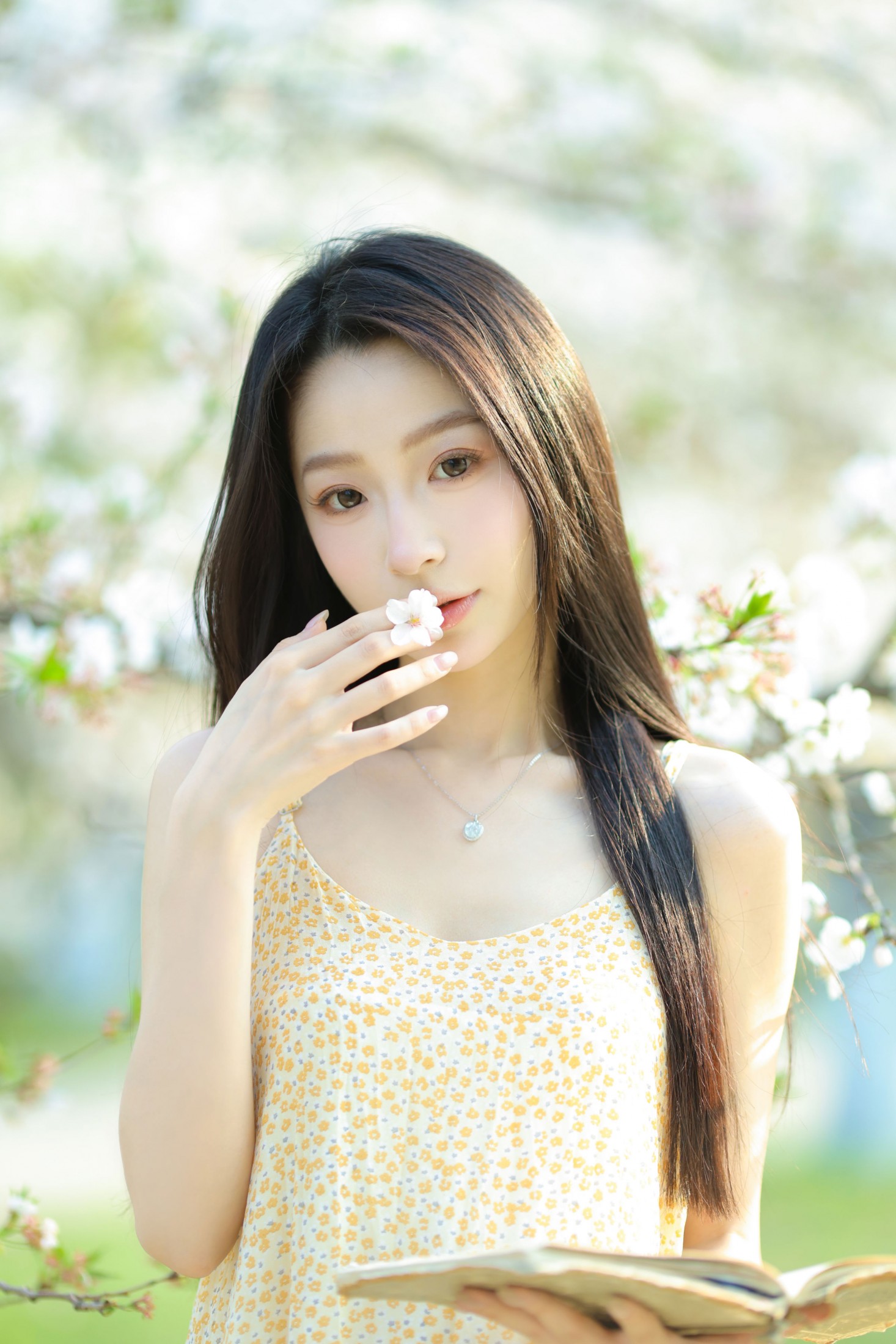 图片[1] - 小吕板板 - 《樱花树下》[14P] - 机器猫次元 - 机器猫次元