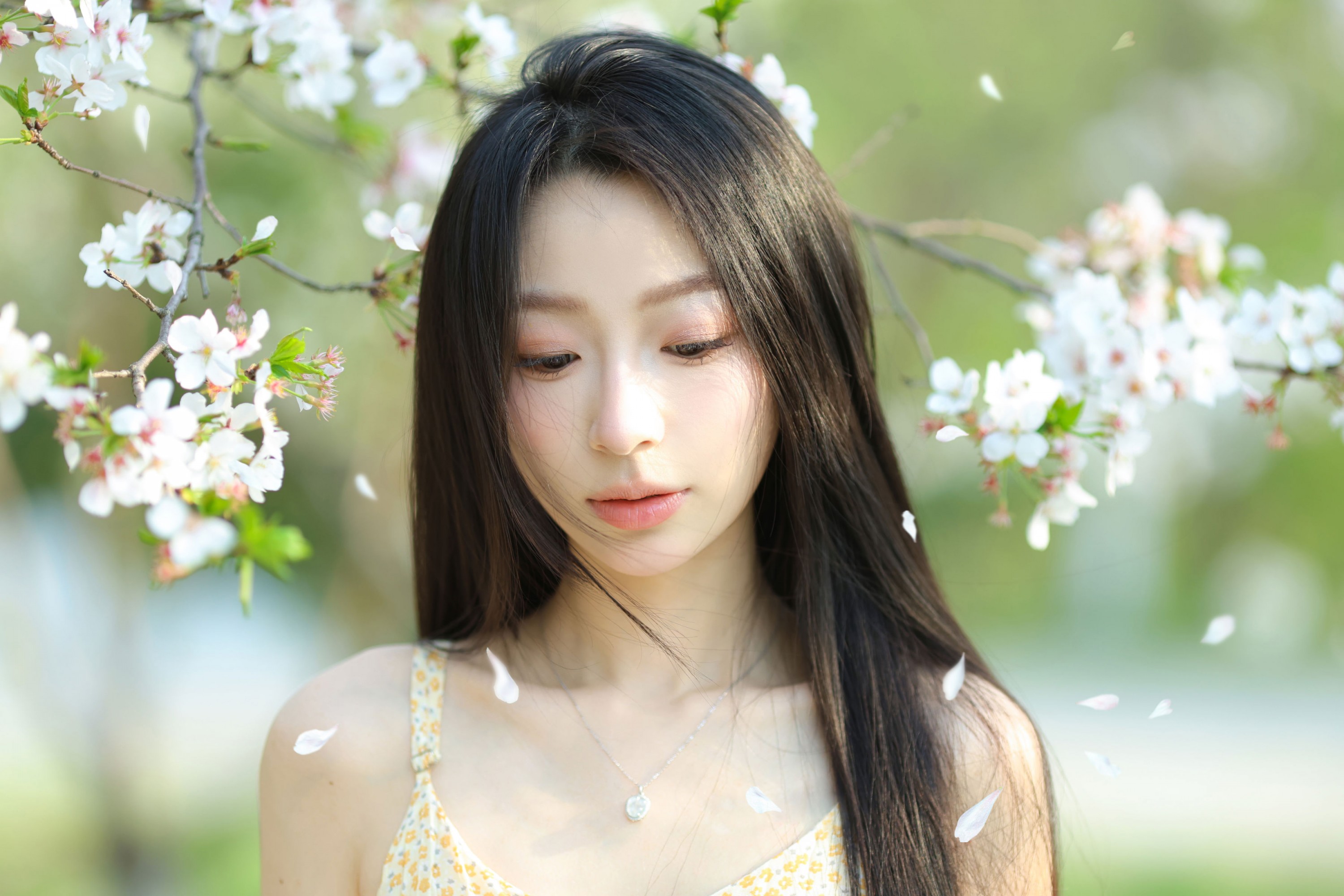 图片[4] - 小吕板板 - 《樱花树下》[14P] - 机器猫次元 - 机器猫次元