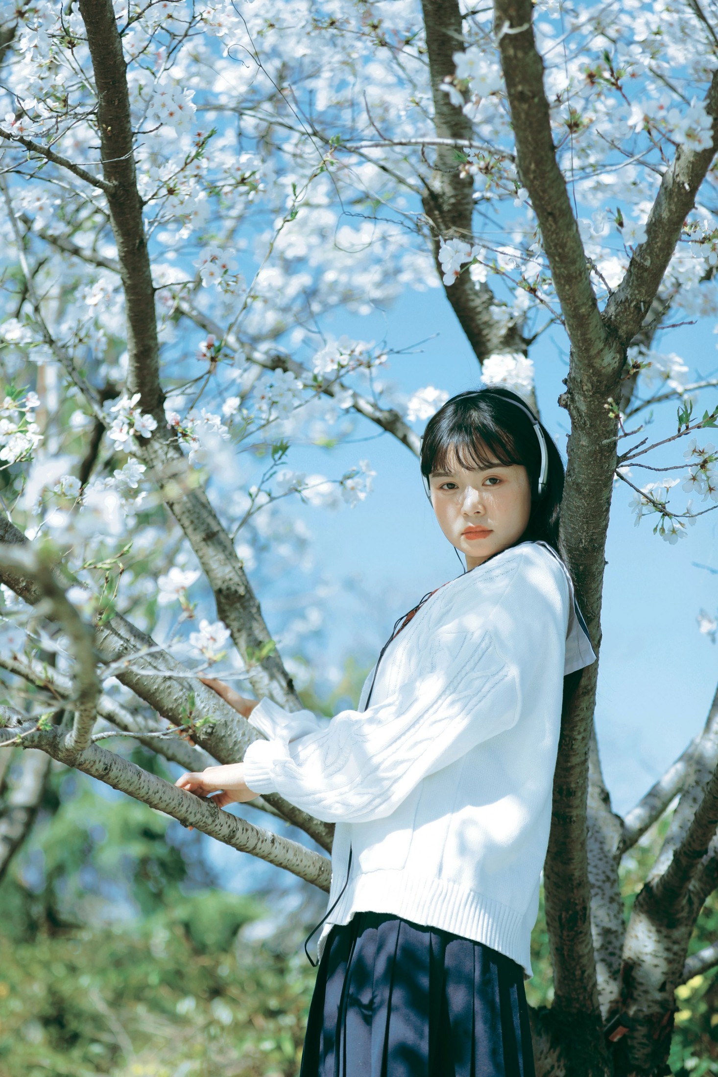 图片[3] - 萌三碎 - 《白樱少女》[12P] - 机器猫次元 - 机器猫次元