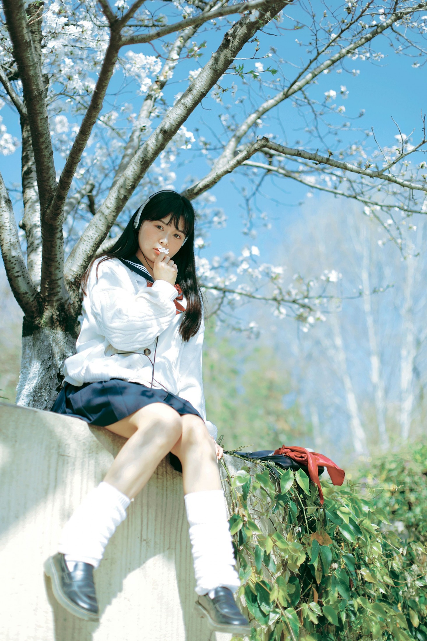 图片[8] - 萌三碎 - 《白樱少女》[12P] - 机器猫次元 - 机器猫次元