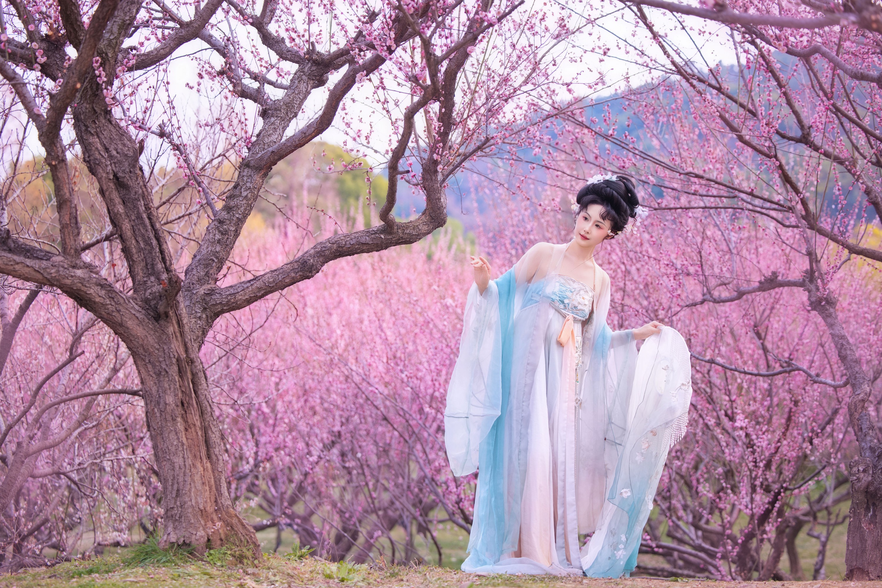 图片[8] - 橘芙芙 - 《插画风｜梅花》[10P] - 机器猫次元 - 机器猫次元