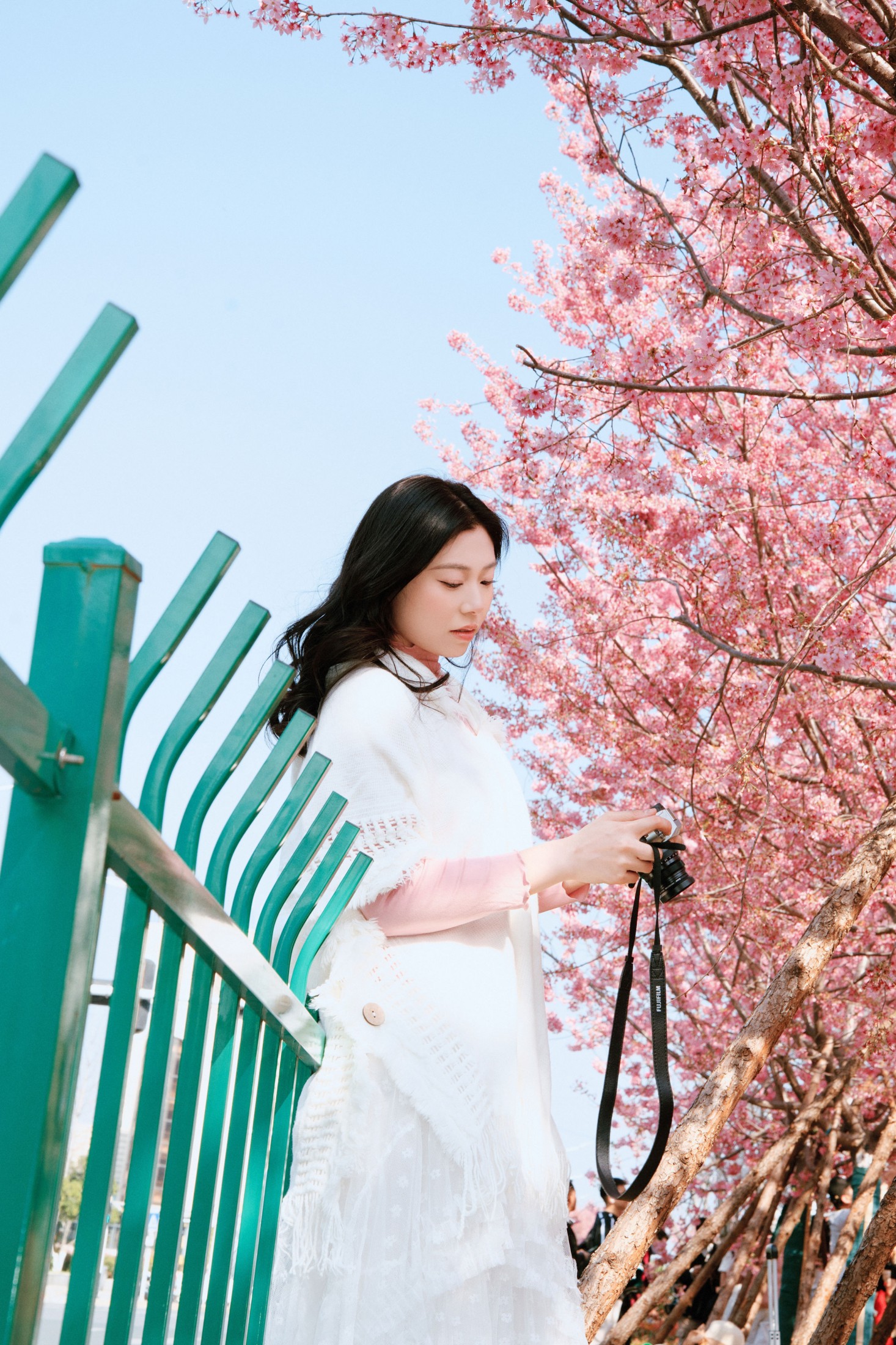 图片[2] - 《樱花赴春日》[22P] - 机器猫次元 - 机器猫次元