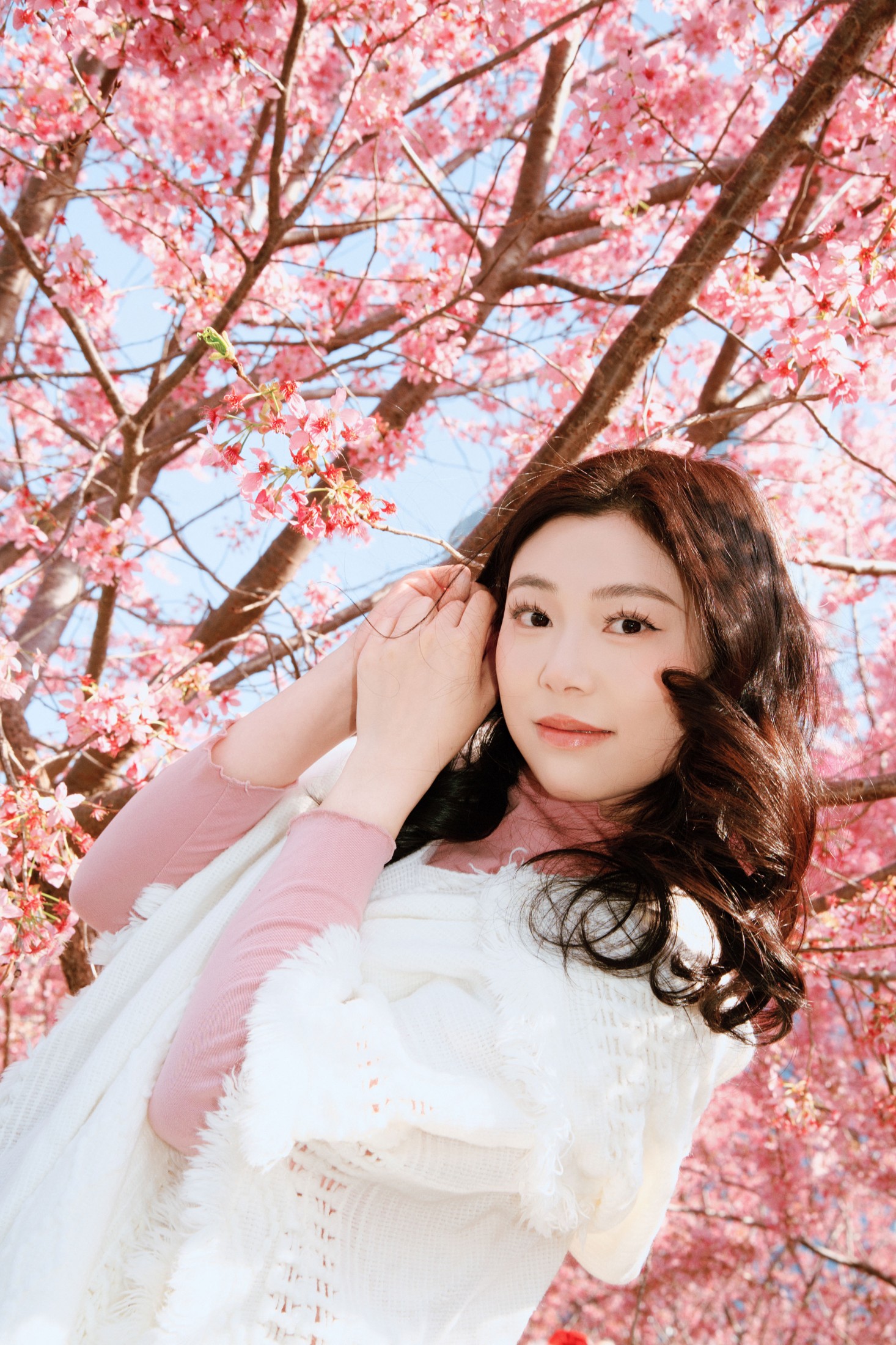 图片[5] - 《樱花赴春日》[22P] - 机器猫次元 - 机器猫次元