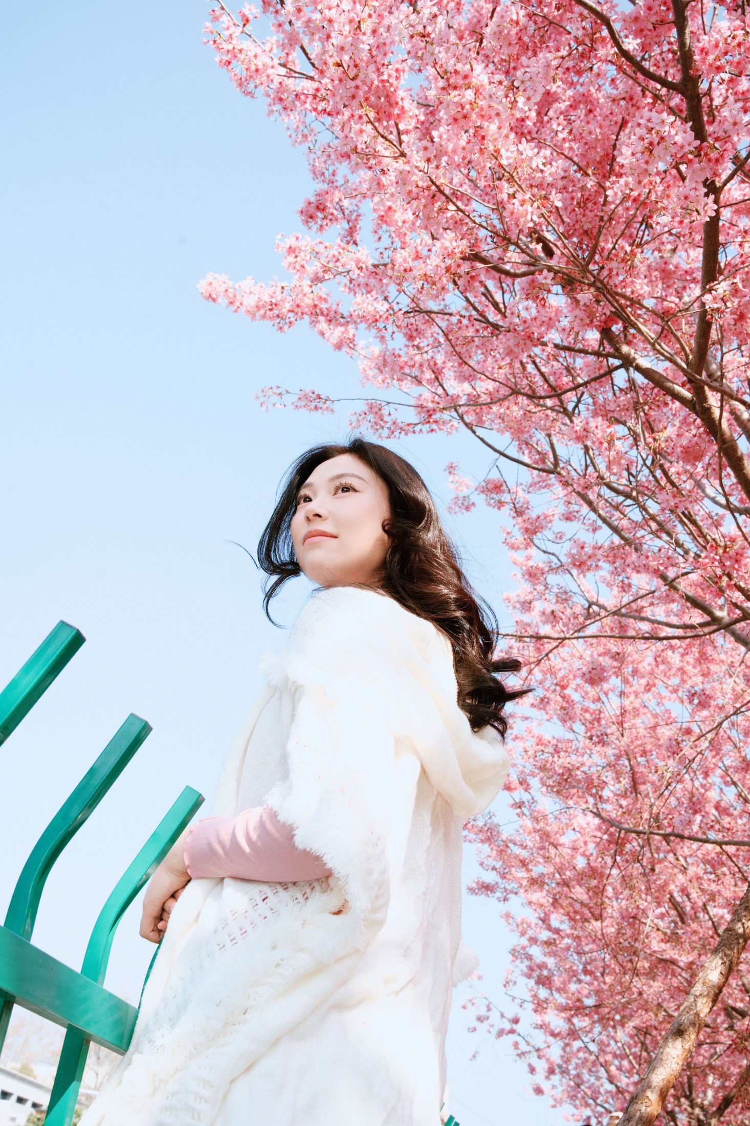 图片[4] - 《樱花赴春日》[22P] - 机器猫次元 - 机器猫次元