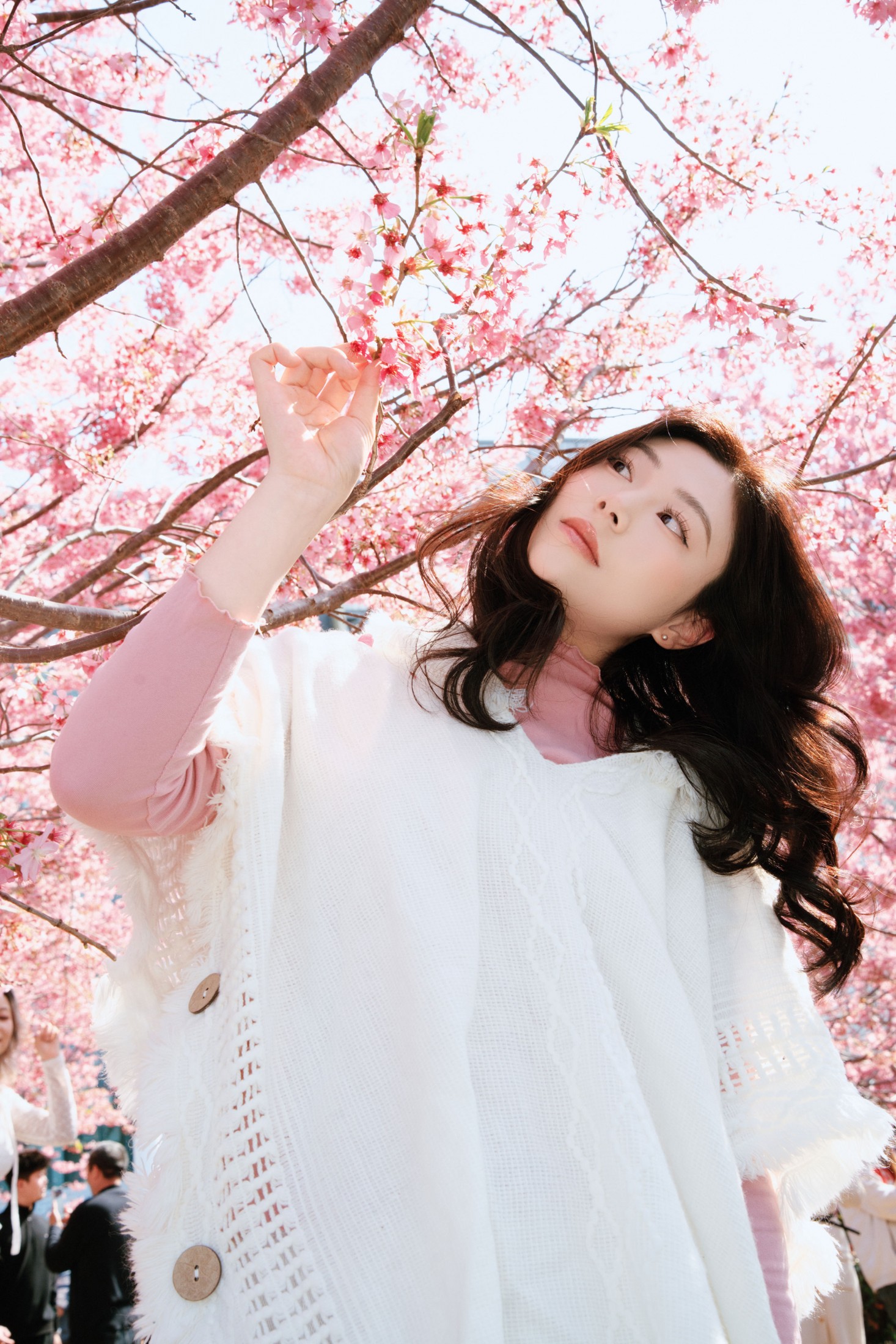 图片[6] - 《樱花赴春日》[22P] - 机器猫次元 - 机器猫次元