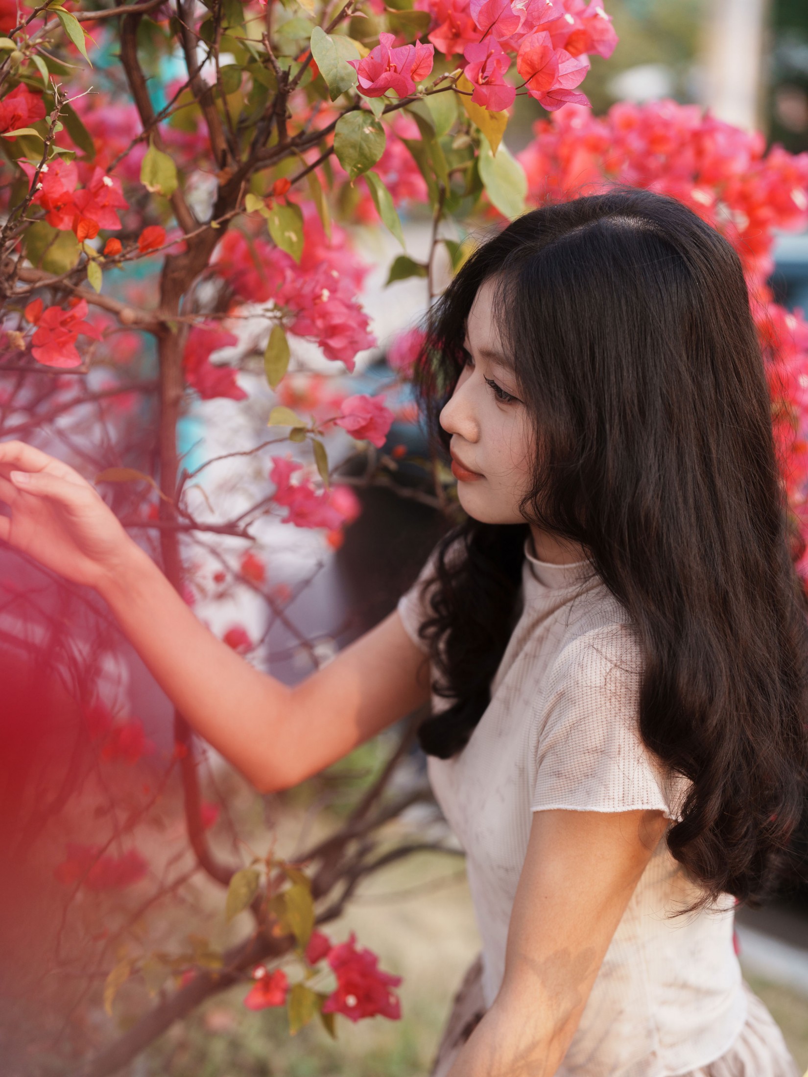 图片[1] - 《绚丽之花》[33P] - 机器猫次元 - 机器猫次元