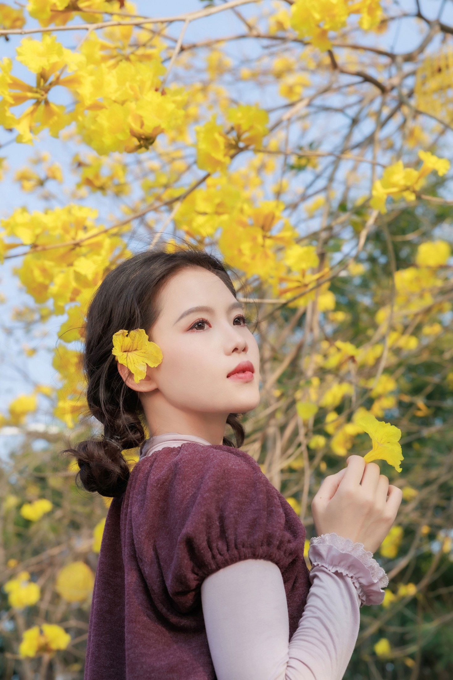 图片[6] - 陈十二ing - 《黄风铃木花》[18P] - 机器猫次元 - 机器猫次元