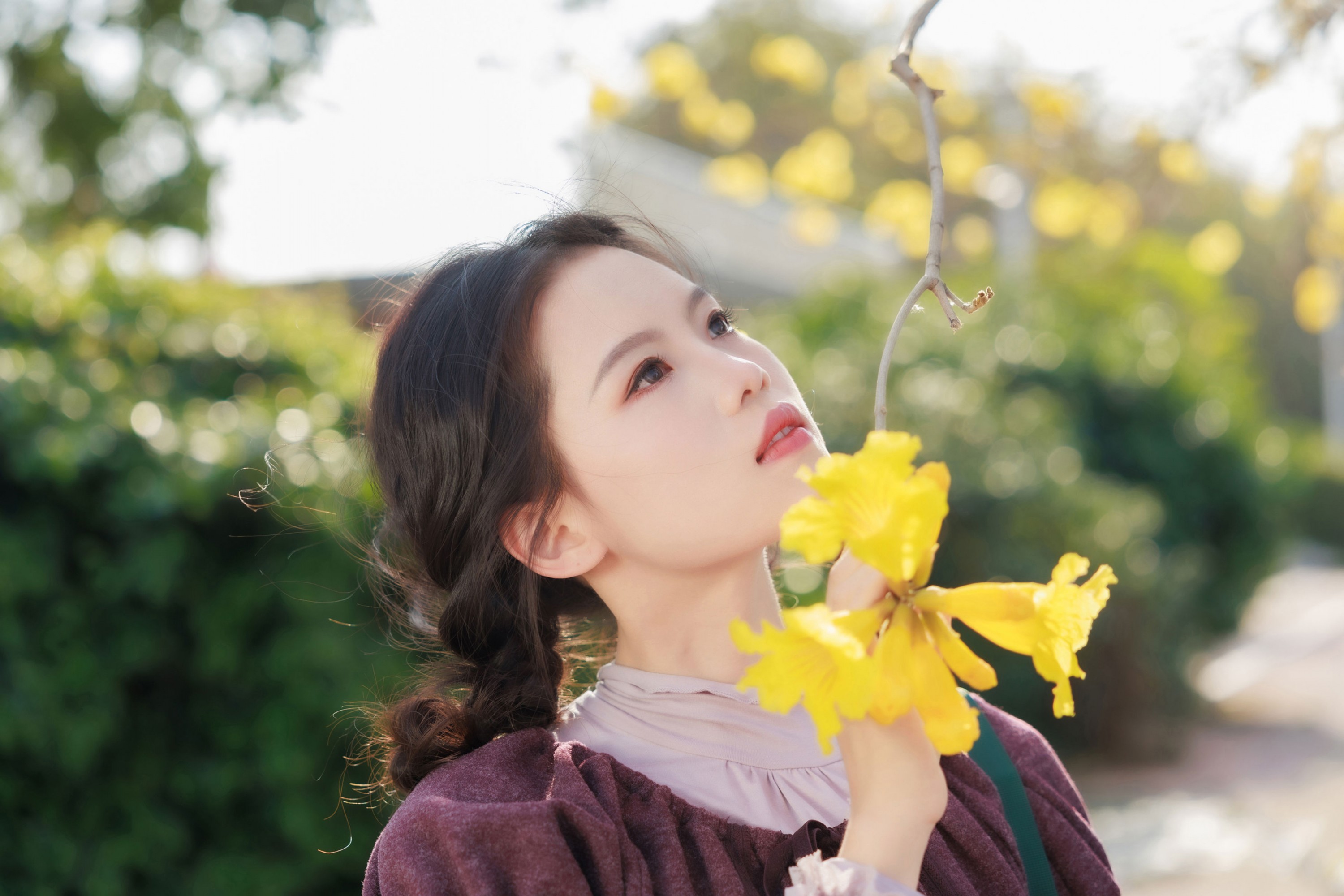 图片[1] - 陈十二ing - 《黄风铃木花》[18P] - 机器猫次元 - 机器猫次元