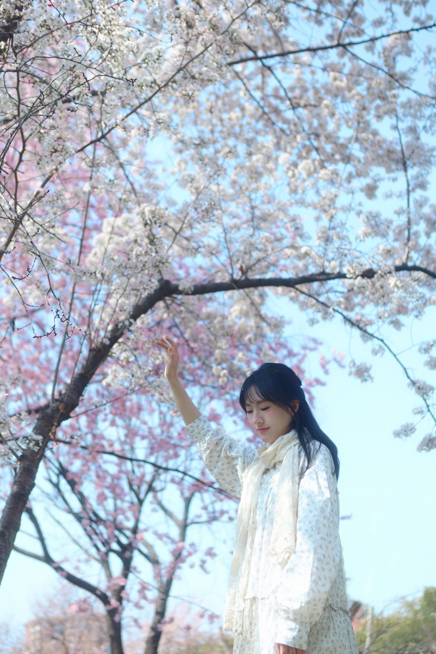 图片[2] - 《樱花树下，你是我的春天》[9P] - 机器猫次元 - 机器猫次元