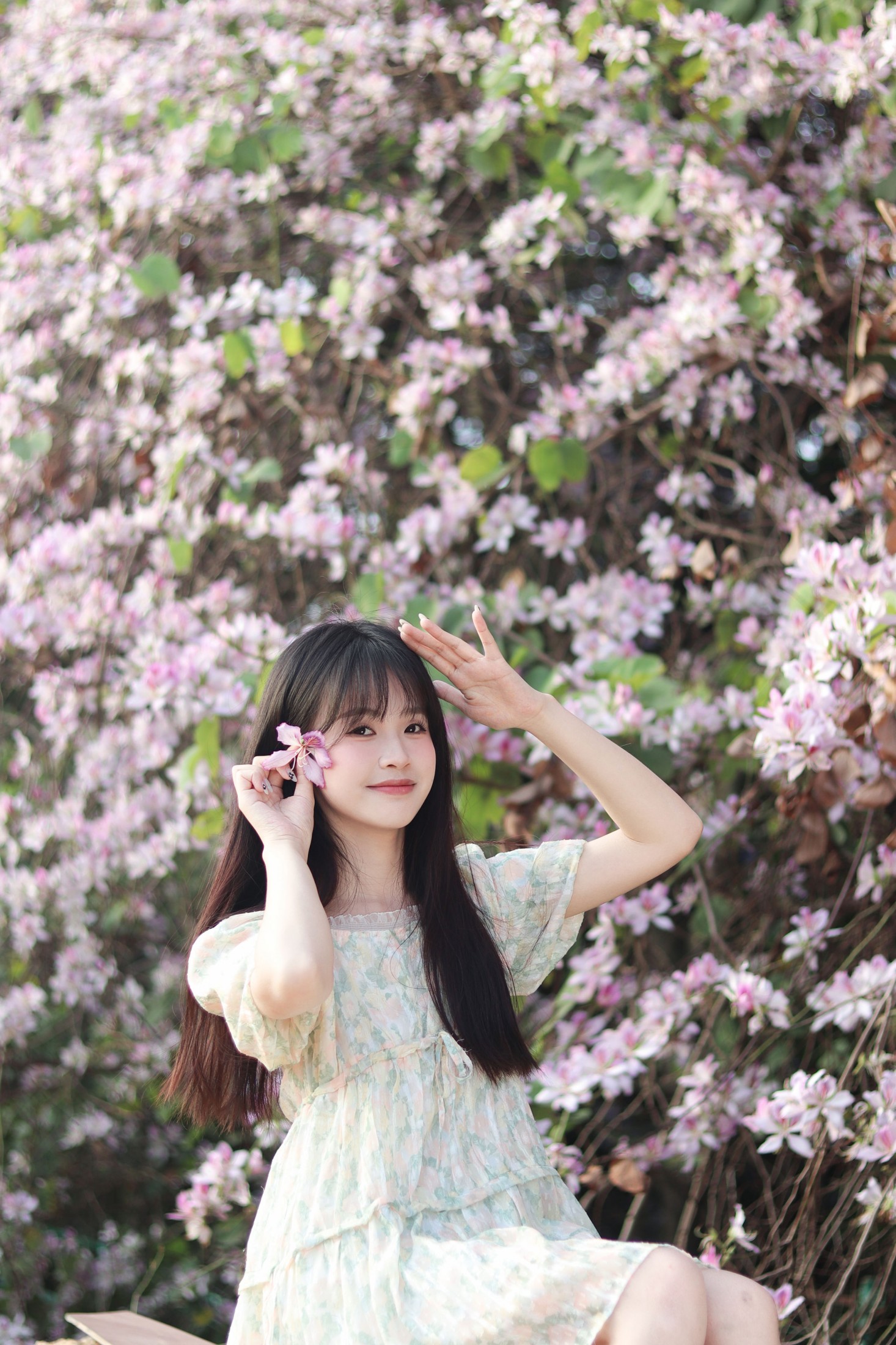 图片[7] - 《紫荆花满城》[21P] - 机器猫次元 - 机器猫次元