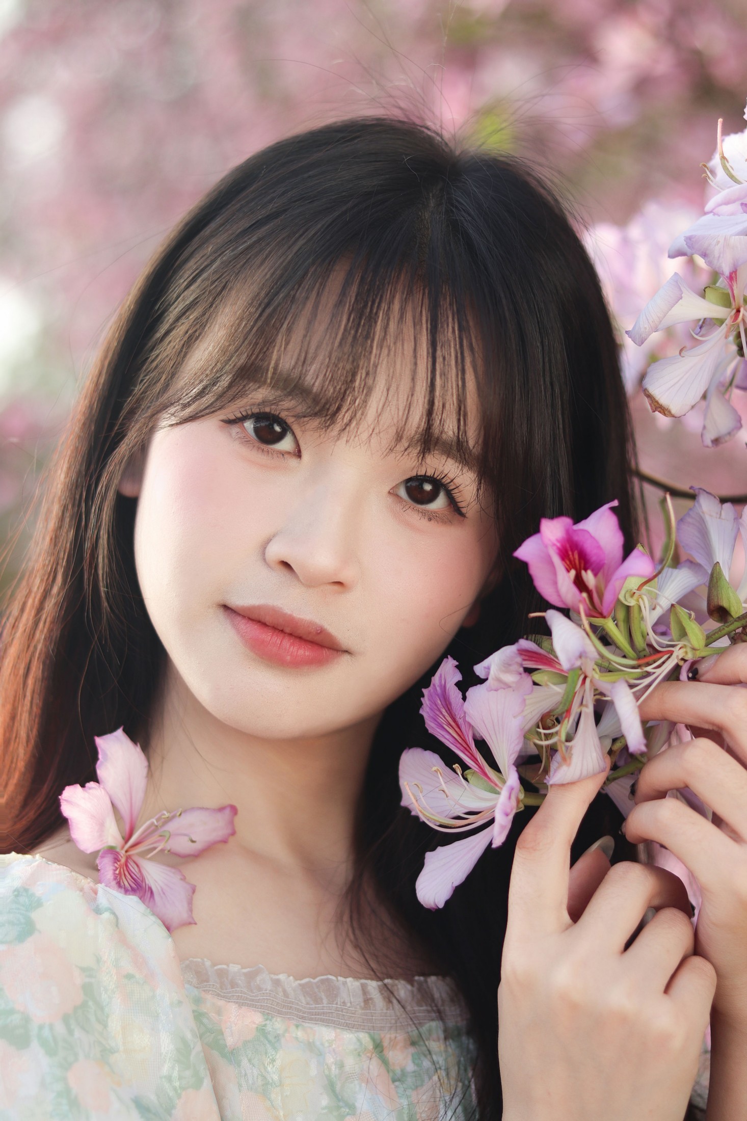 图片[6] - 《紫荆花满城》[21P] - 机器猫次元 - 机器猫次元