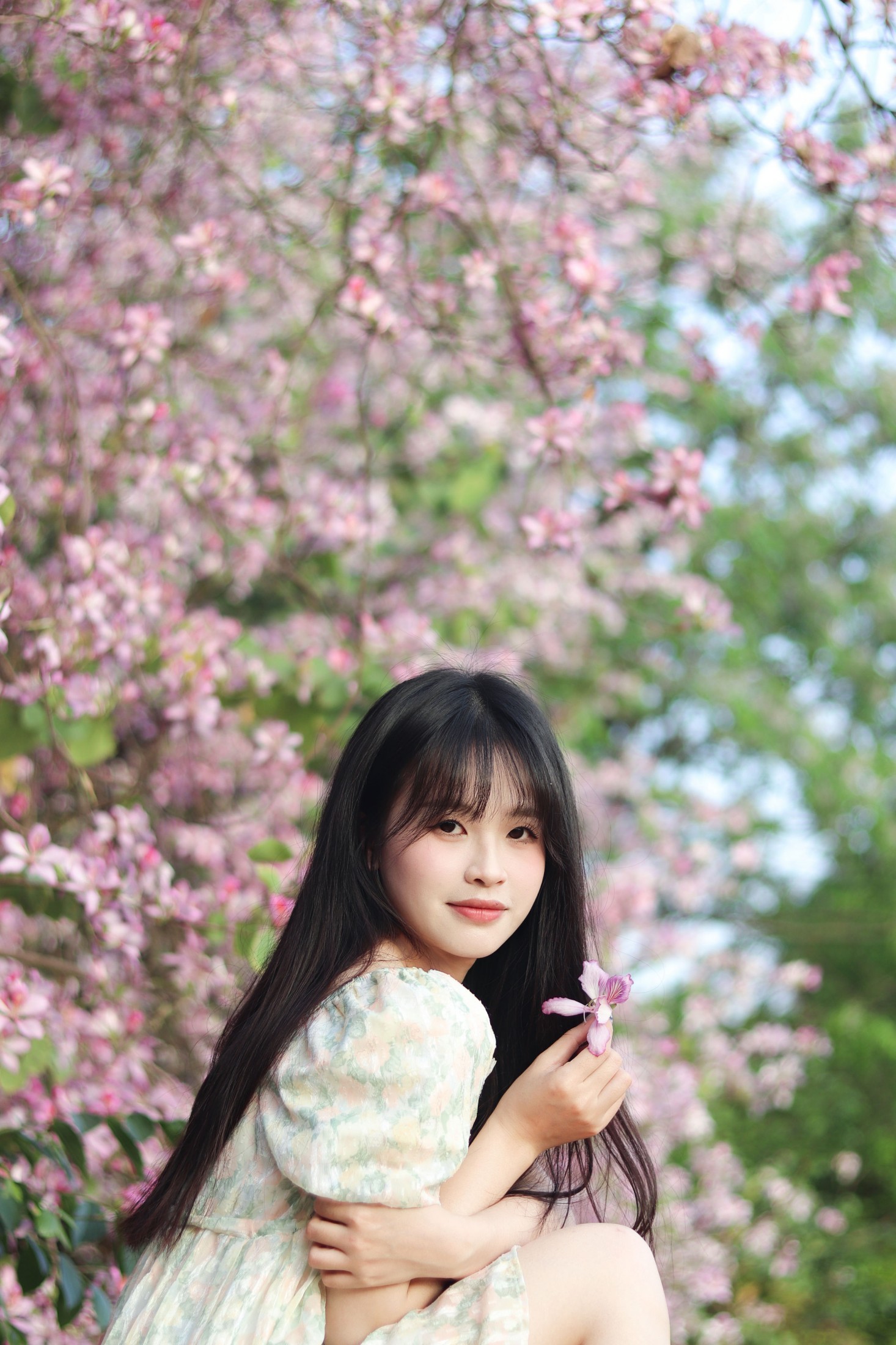 图片[5] - 《紫荆花满城》[21P] - 机器猫次元 - 机器猫次元