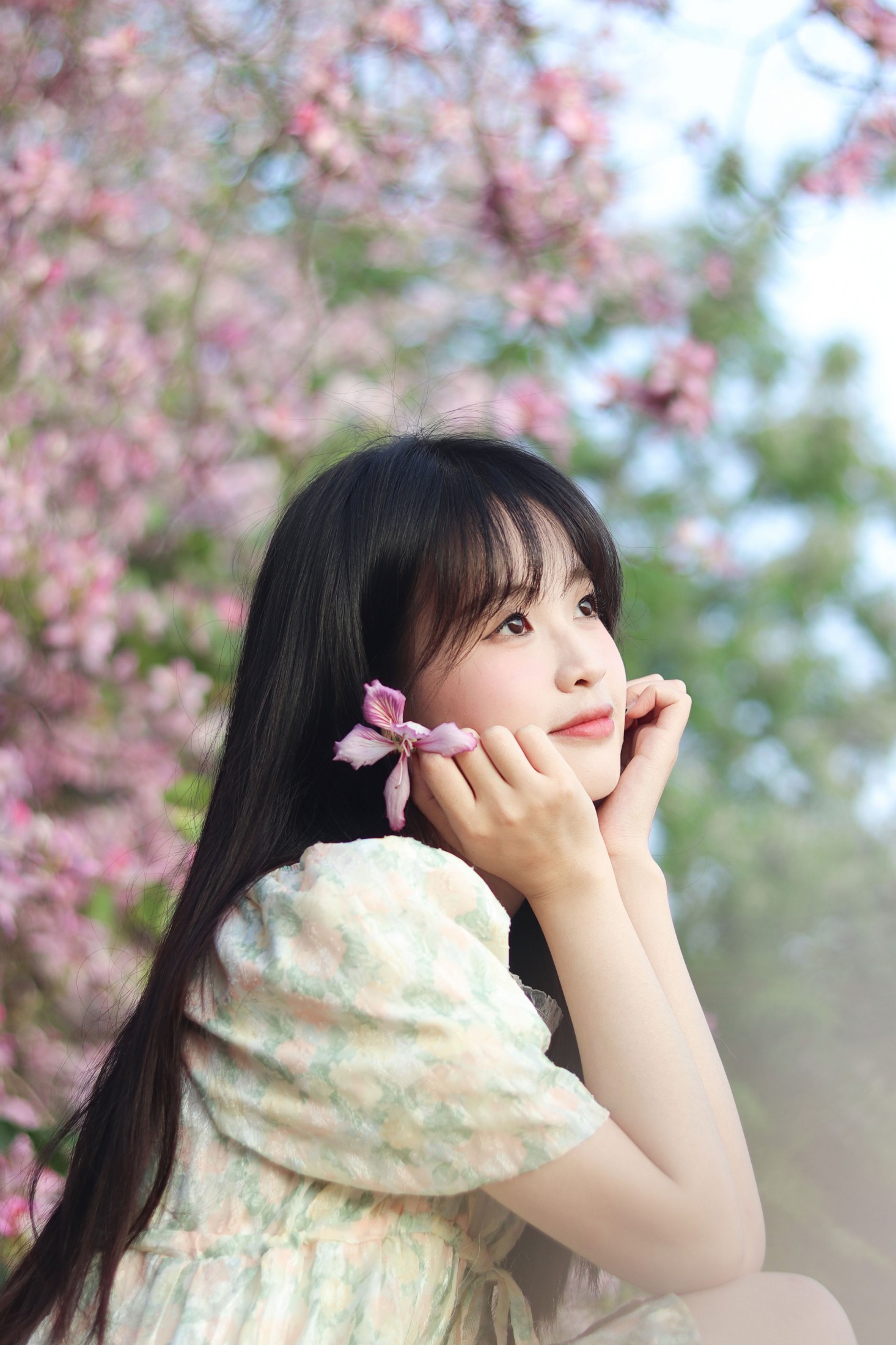 图片[8] - 《紫荆花满城》[21P] - 机器猫次元 - 机器猫次元
