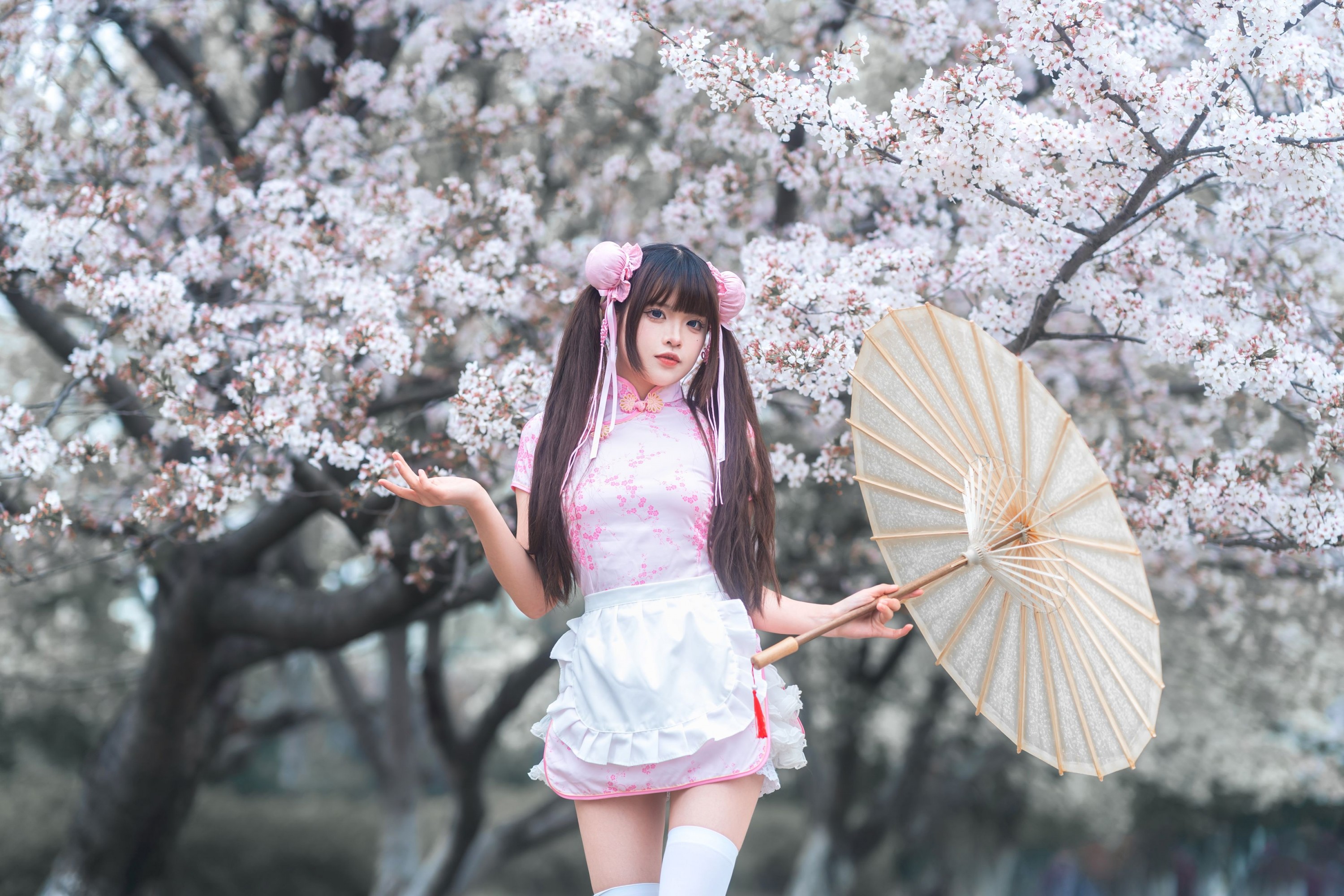 图片[1] - 《中华娘樱花人像》[12P] - 机器猫次元 - 机器猫次元