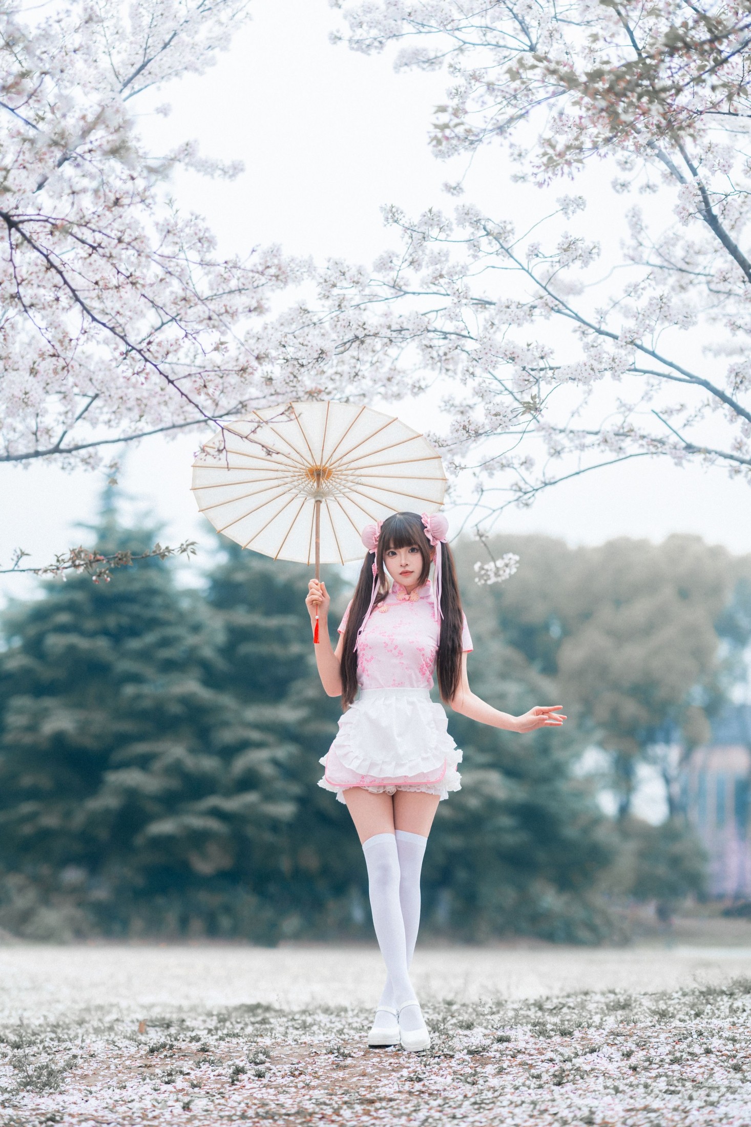 图片[4] - 《中华娘樱花人像》[12P] - 机器猫次元 - 机器猫次元