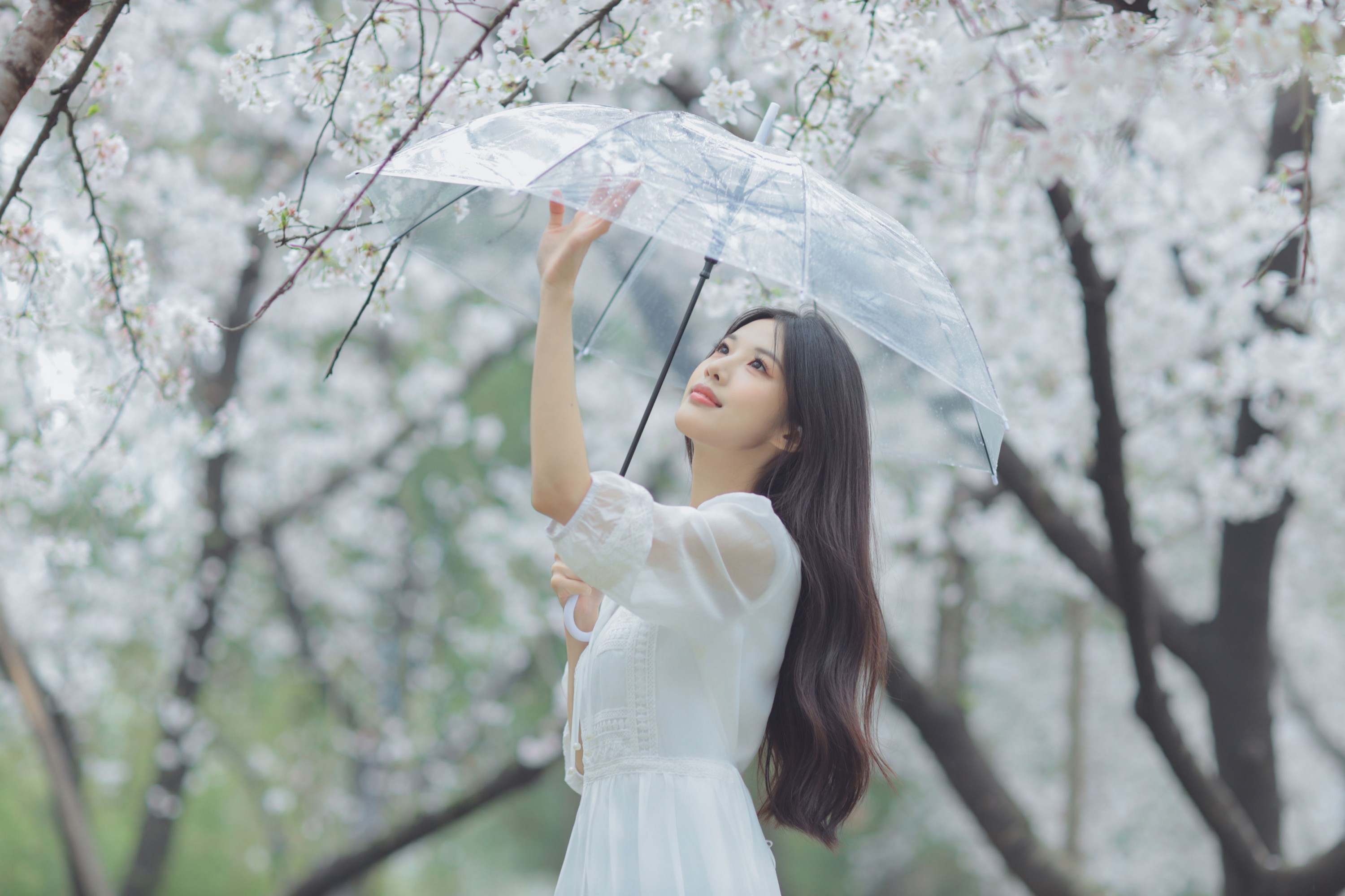 图片[8] - 西西 - 《白色樱花》[28P] - 机器猫次元 - 机器猫次元