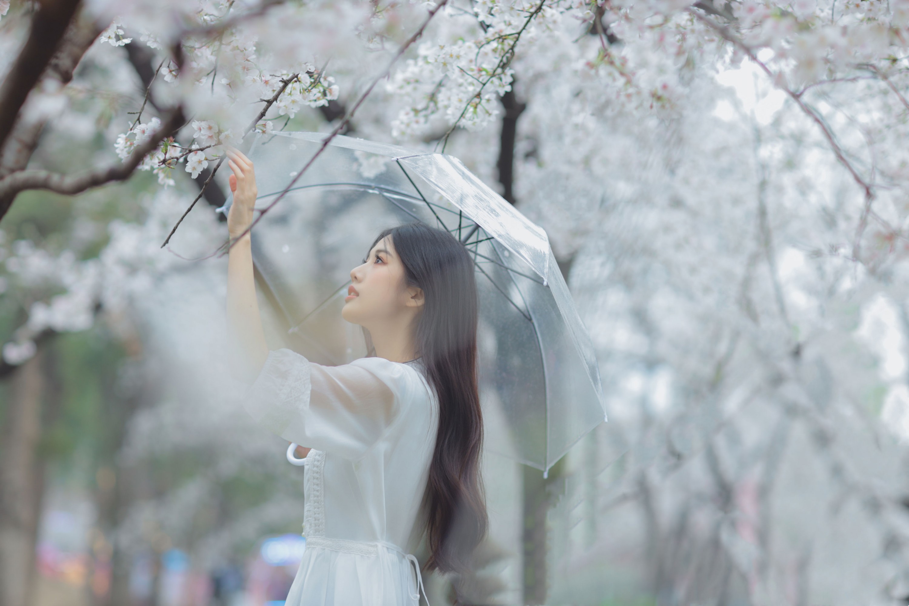 图片[6] - 西西 - 《白色樱花》[28P] - 机器猫次元 - 机器猫次元