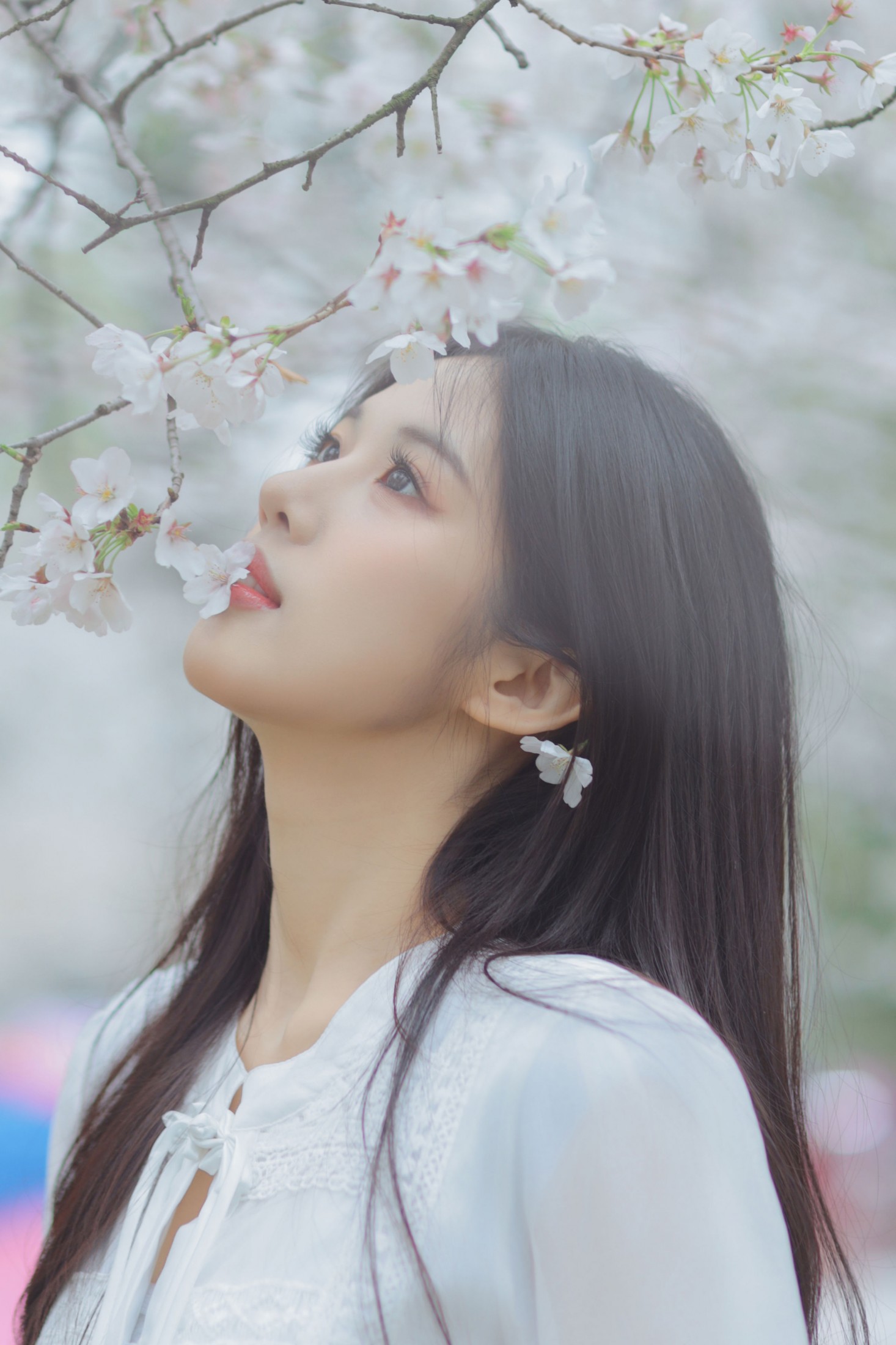 图片[3] - 西西 - 《白色樱花》[28P] - 机器猫次元 - 机器猫次元