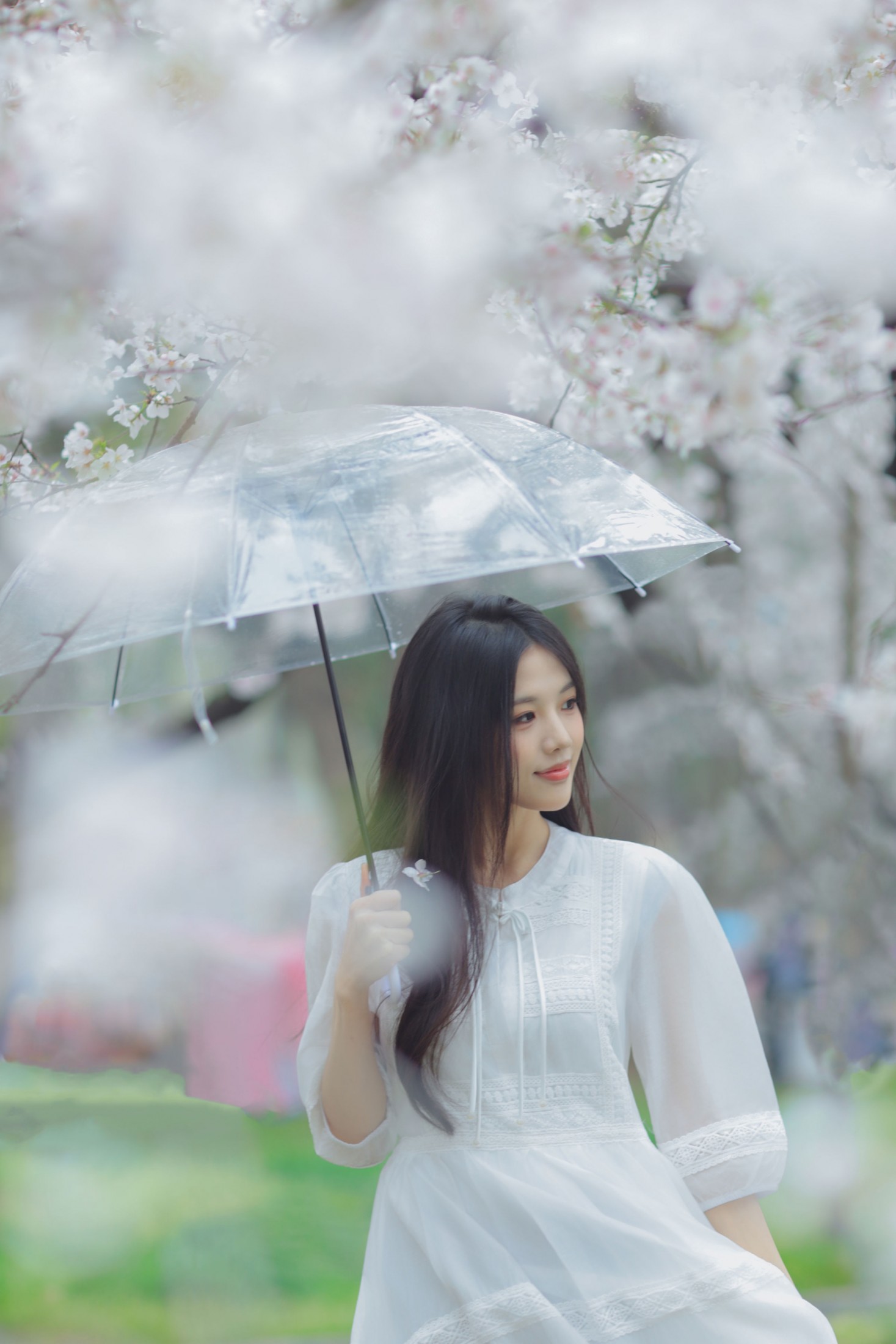 图片[7] - 西西 - 《白色樱花》[28P] - 机器猫次元 - 机器猫次元