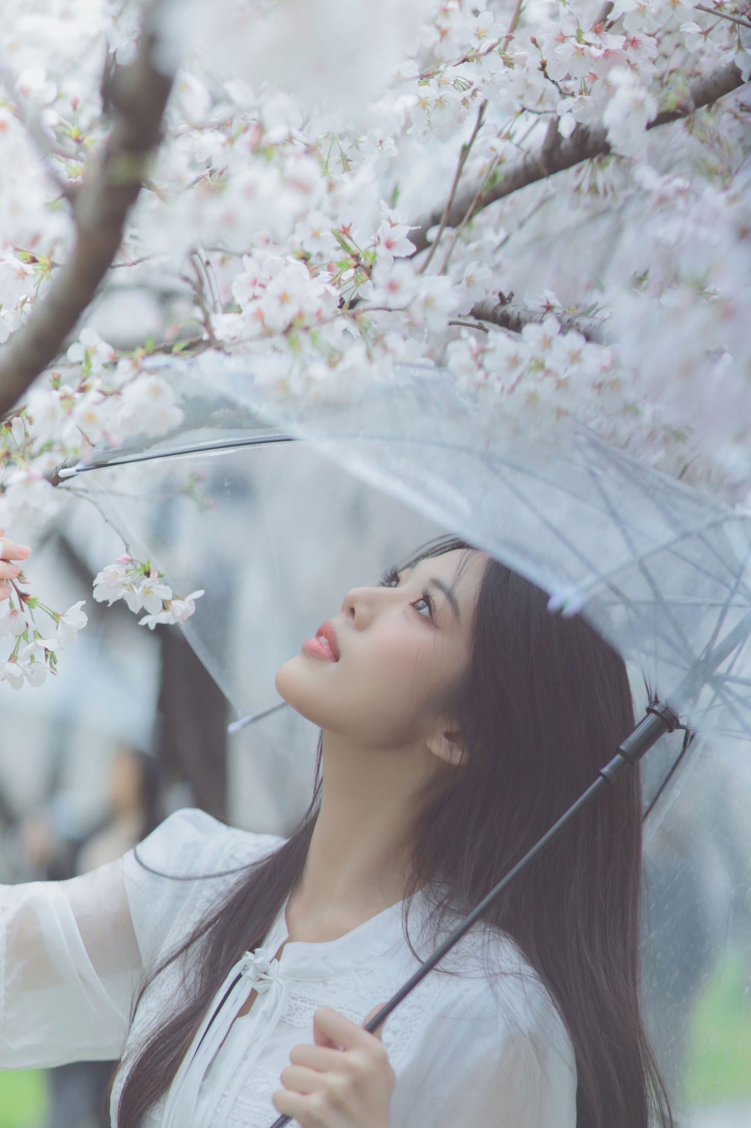 图片[5] - 西西 - 《白色樱花》[28P] - 机器猫次元 - 机器猫次元