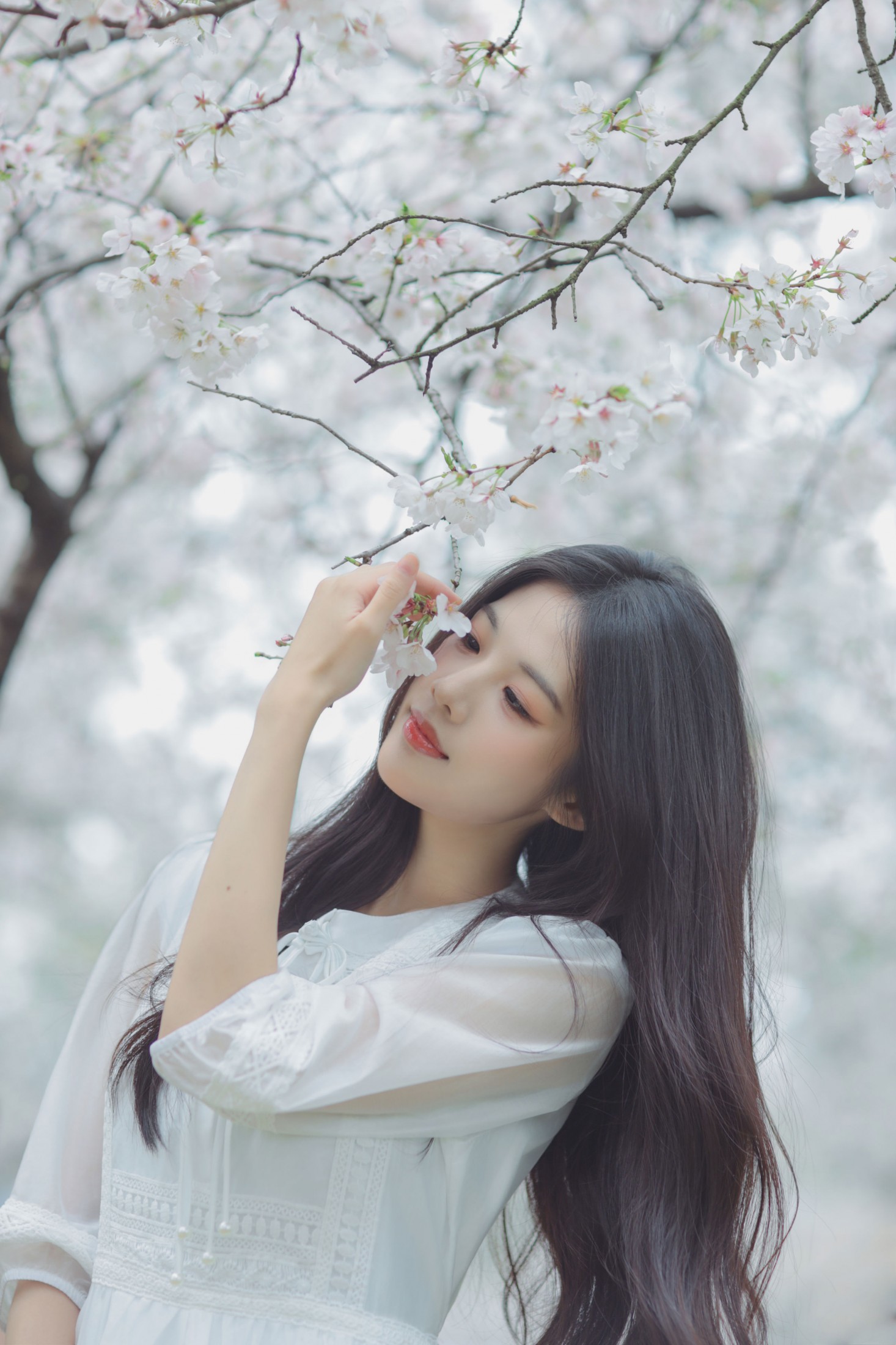 图片[1] - 西西 - 《白色樱花》[28P] - 机器猫次元 - 机器猫次元