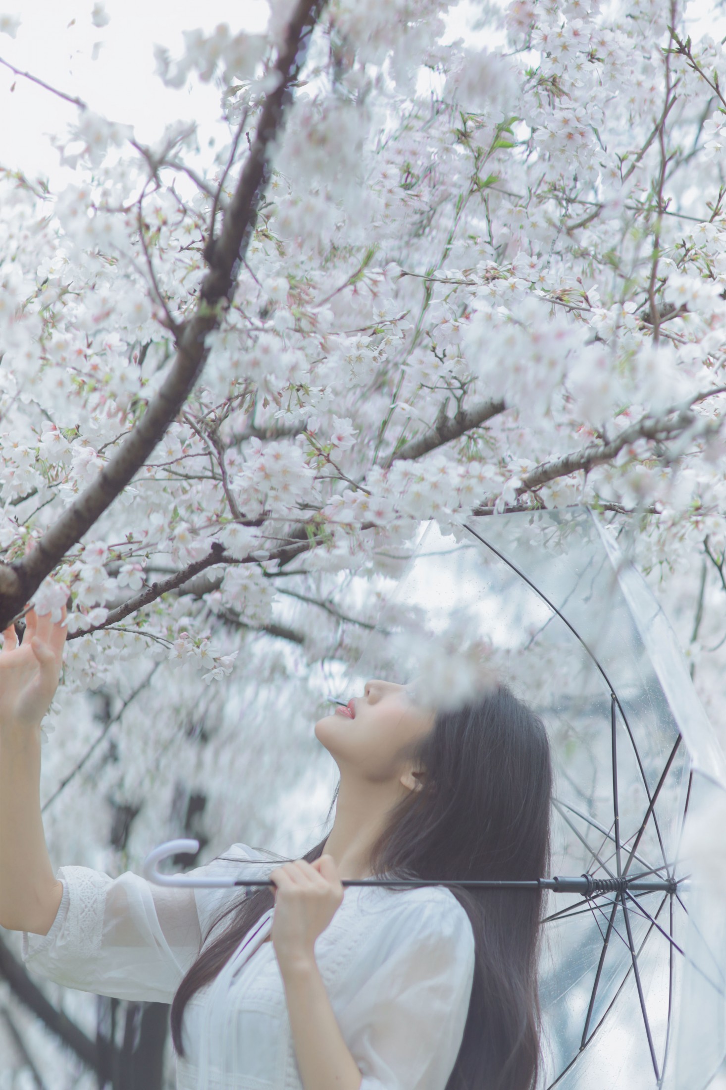 图片[4] - 西西 - 《白色樱花》[28P] - 机器猫次元 - 机器猫次元