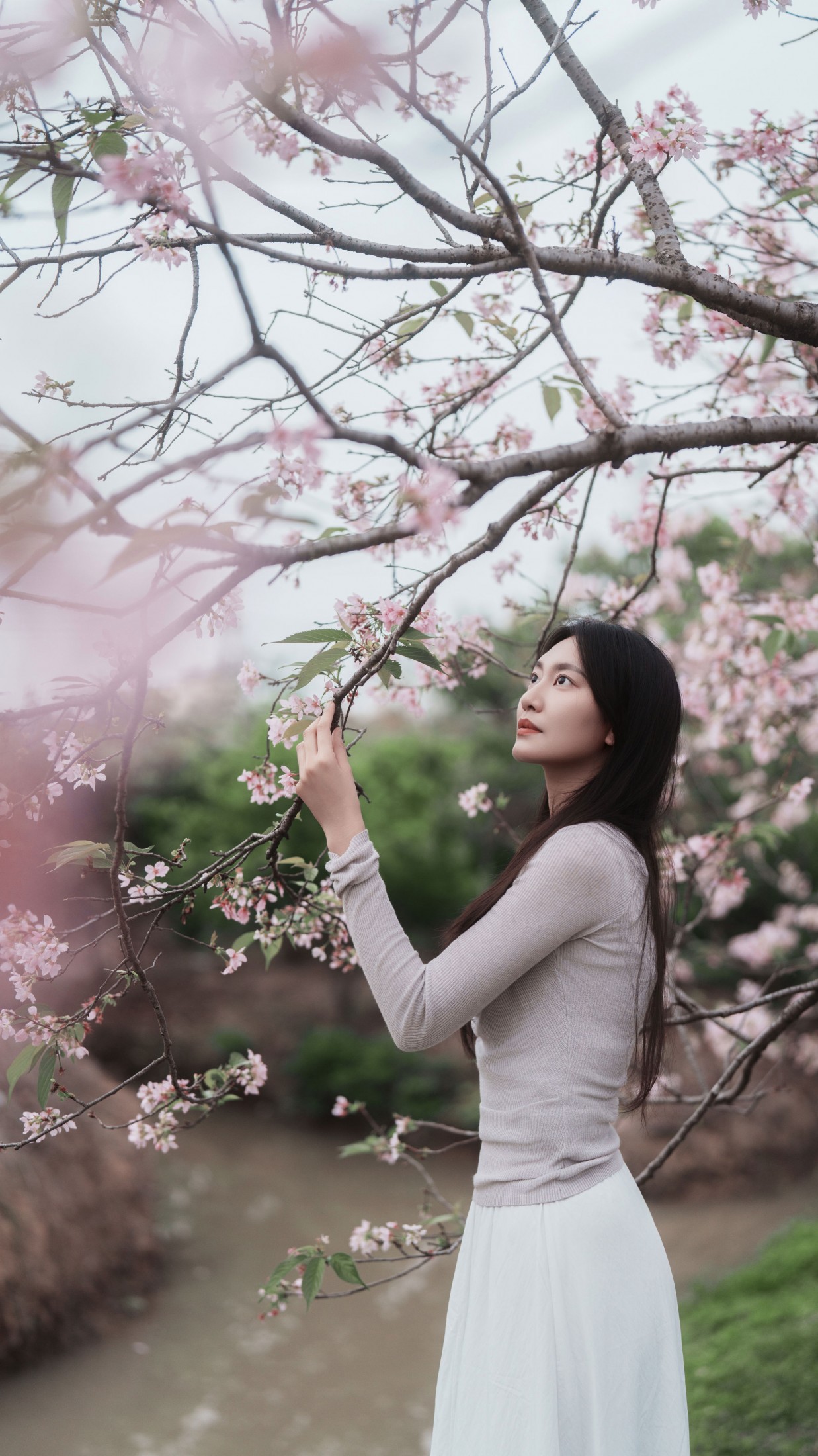 图片[5] - 《粉色樱花》[34P] - 机器猫次元 - 机器猫次元
