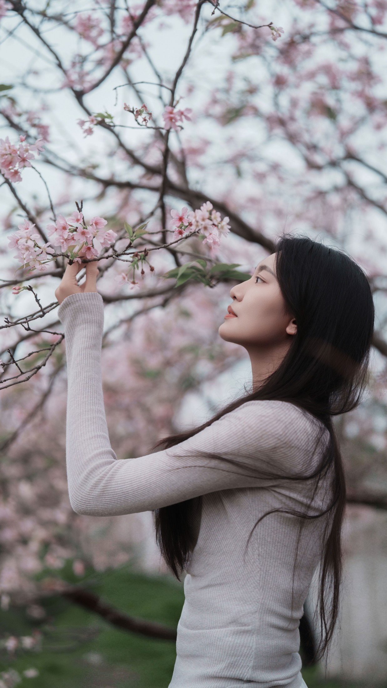 图片[3] - 《粉色樱花》[34P] - 机器猫次元 - 机器猫次元