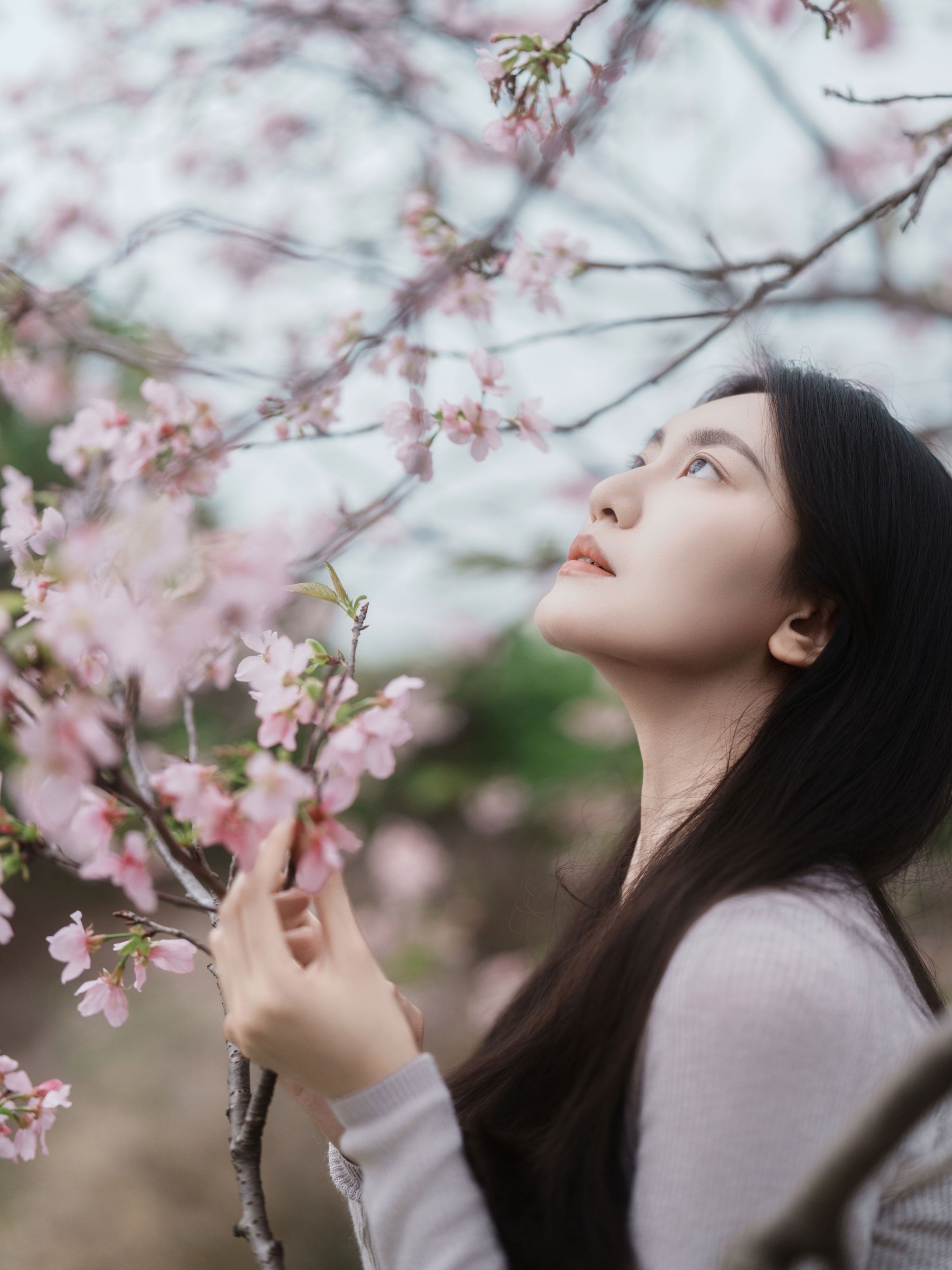 图片[6] - 《粉色樱花》[34P] - 机器猫次元 - 机器猫次元