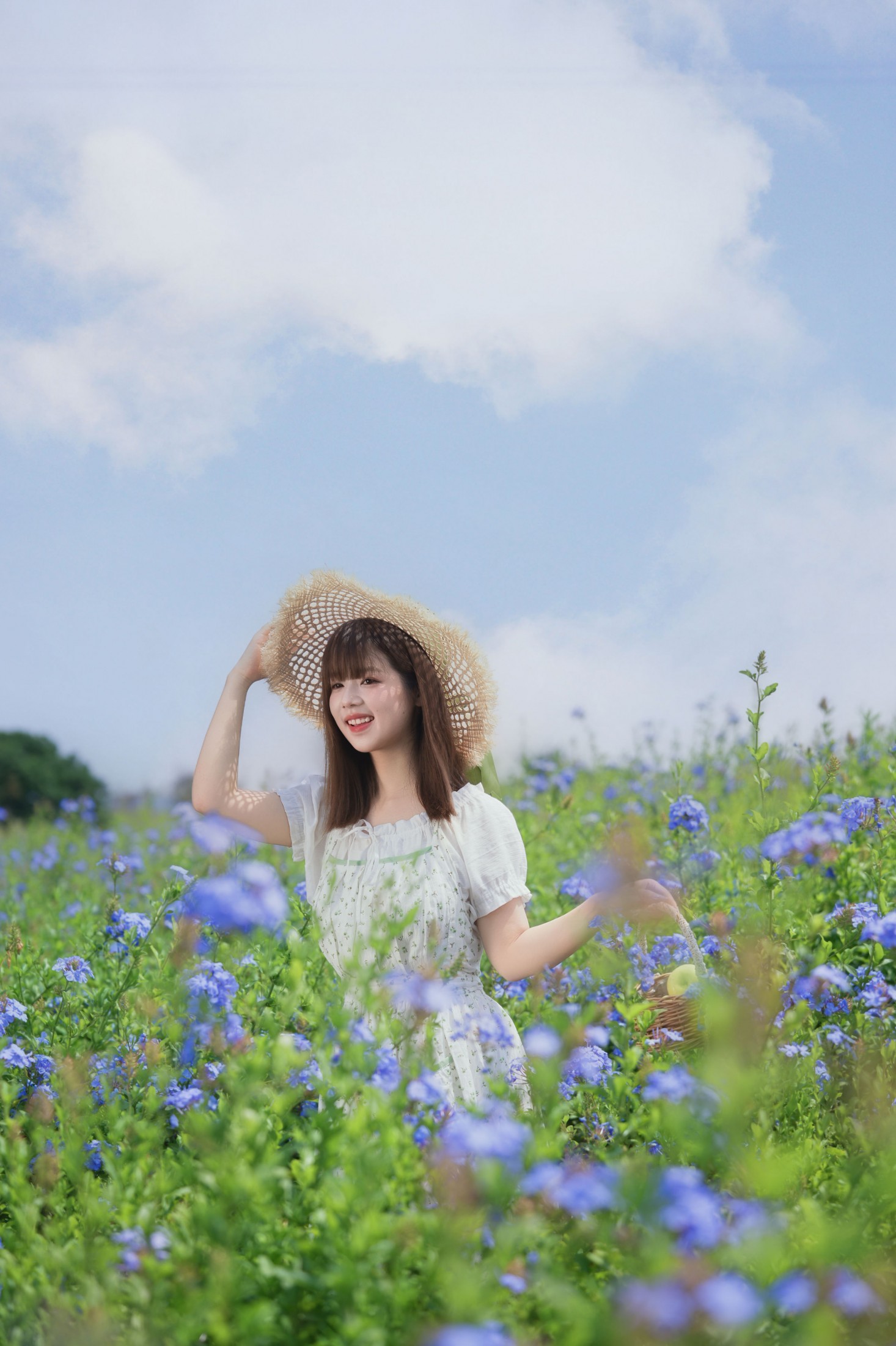 图片[7] - 呆头飞鹅 - 《春日限定蓝花田写真｜把夏天穿在身上》[51P] - 机器猫次元 - 机器猫次元