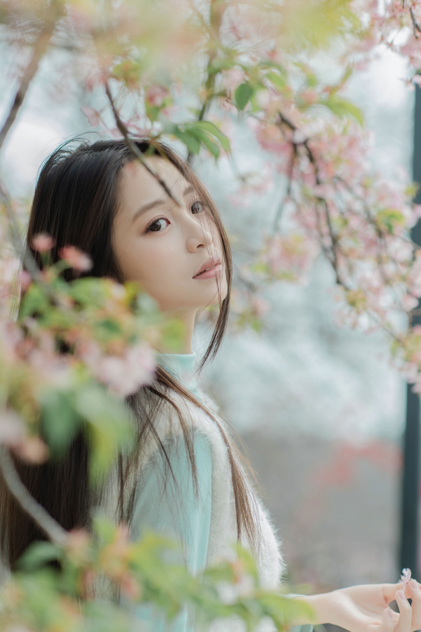 图片[2] - 我不是麻酱 - 《春花烂漫》[31P] - 机器猫次元 - 机器猫次元