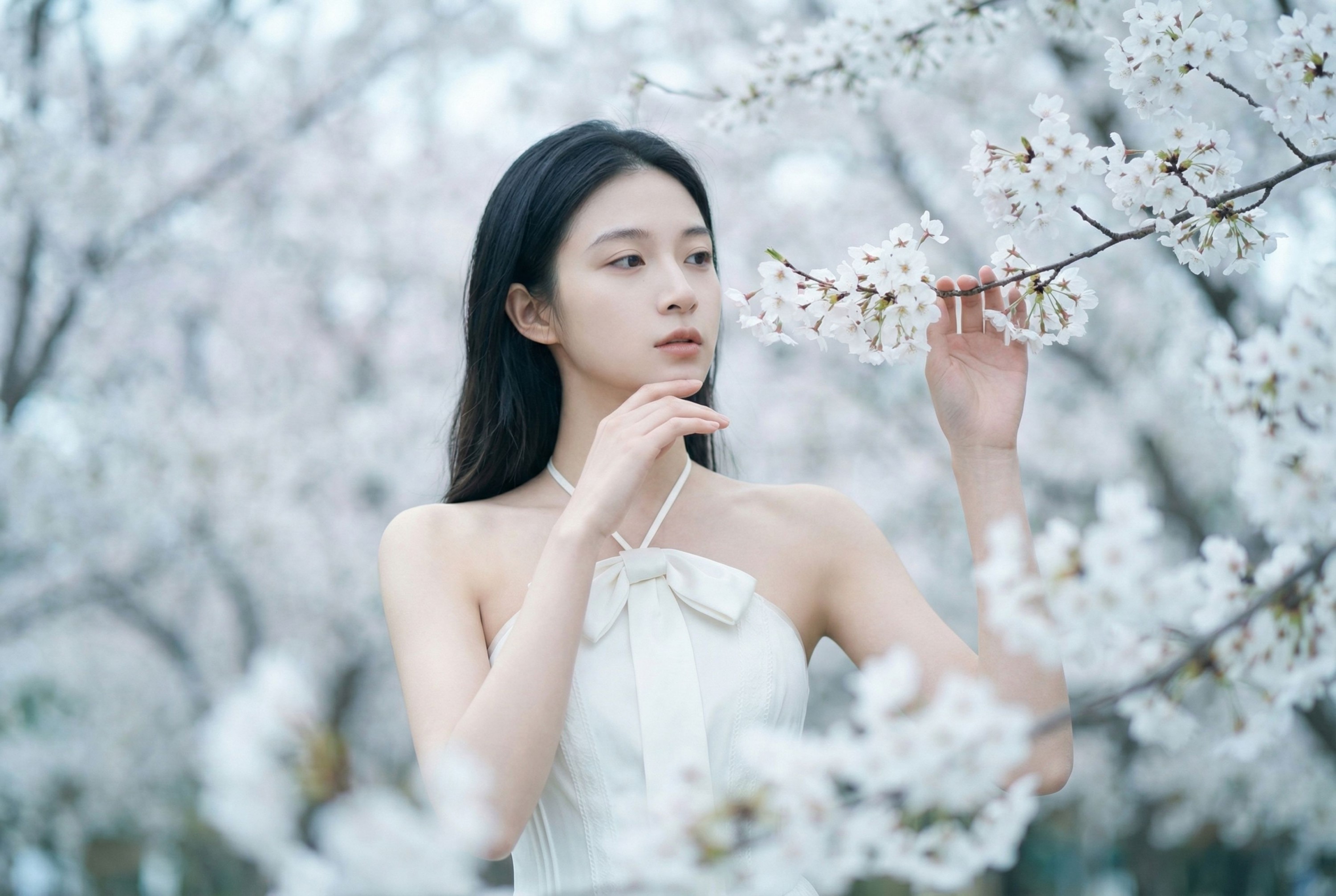 图片[6] - 《春日信》[10P] - 机器猫次元 - 机器猫次元