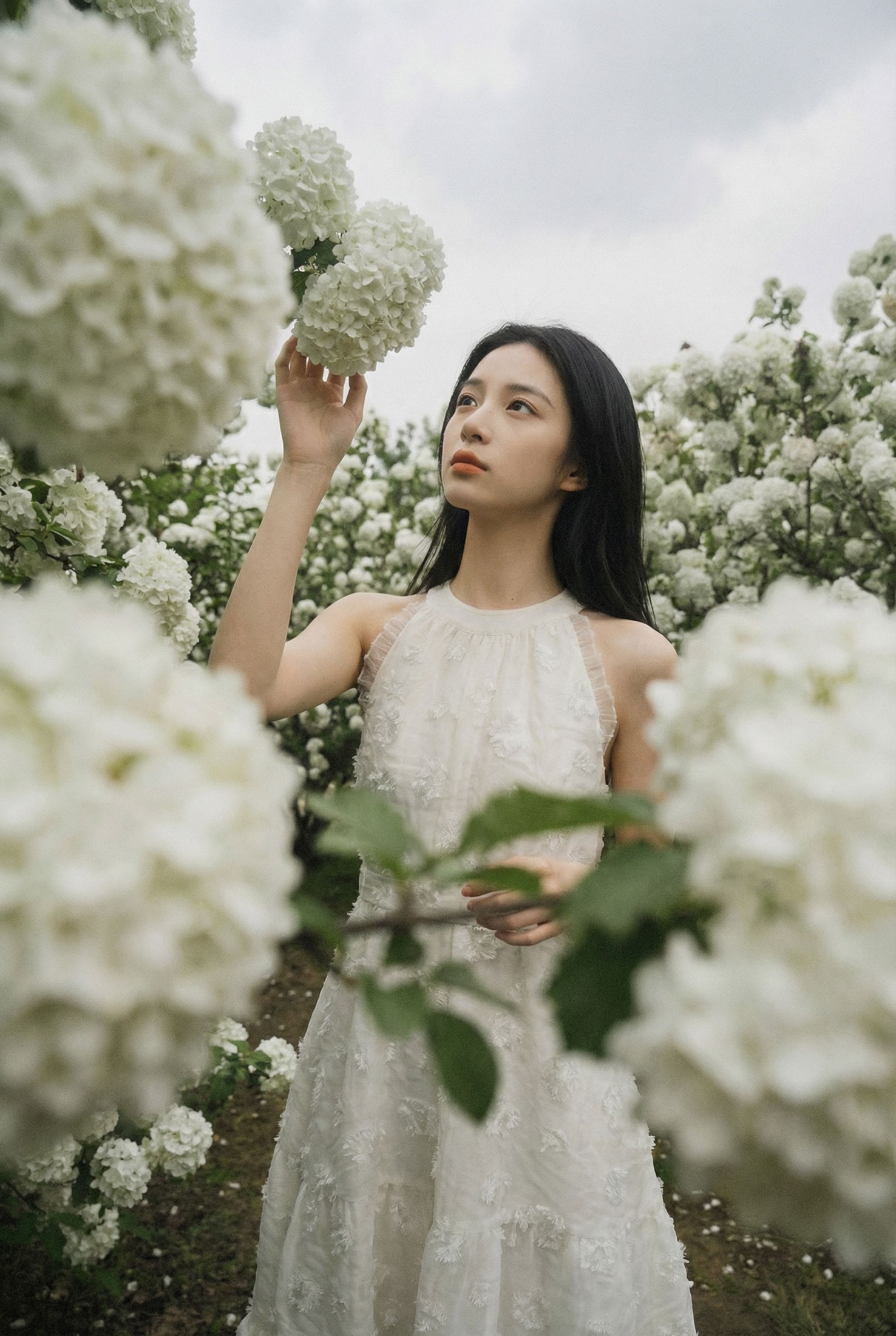 图片[3] - 《白絮春深》[12P] - 机器猫次元 - 机器猫次元