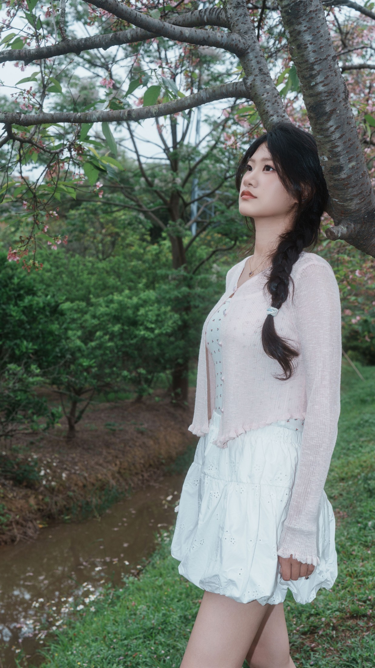 图片[1] - 《樱花之恋》[12P] - 机器猫次元 - 机器猫次元