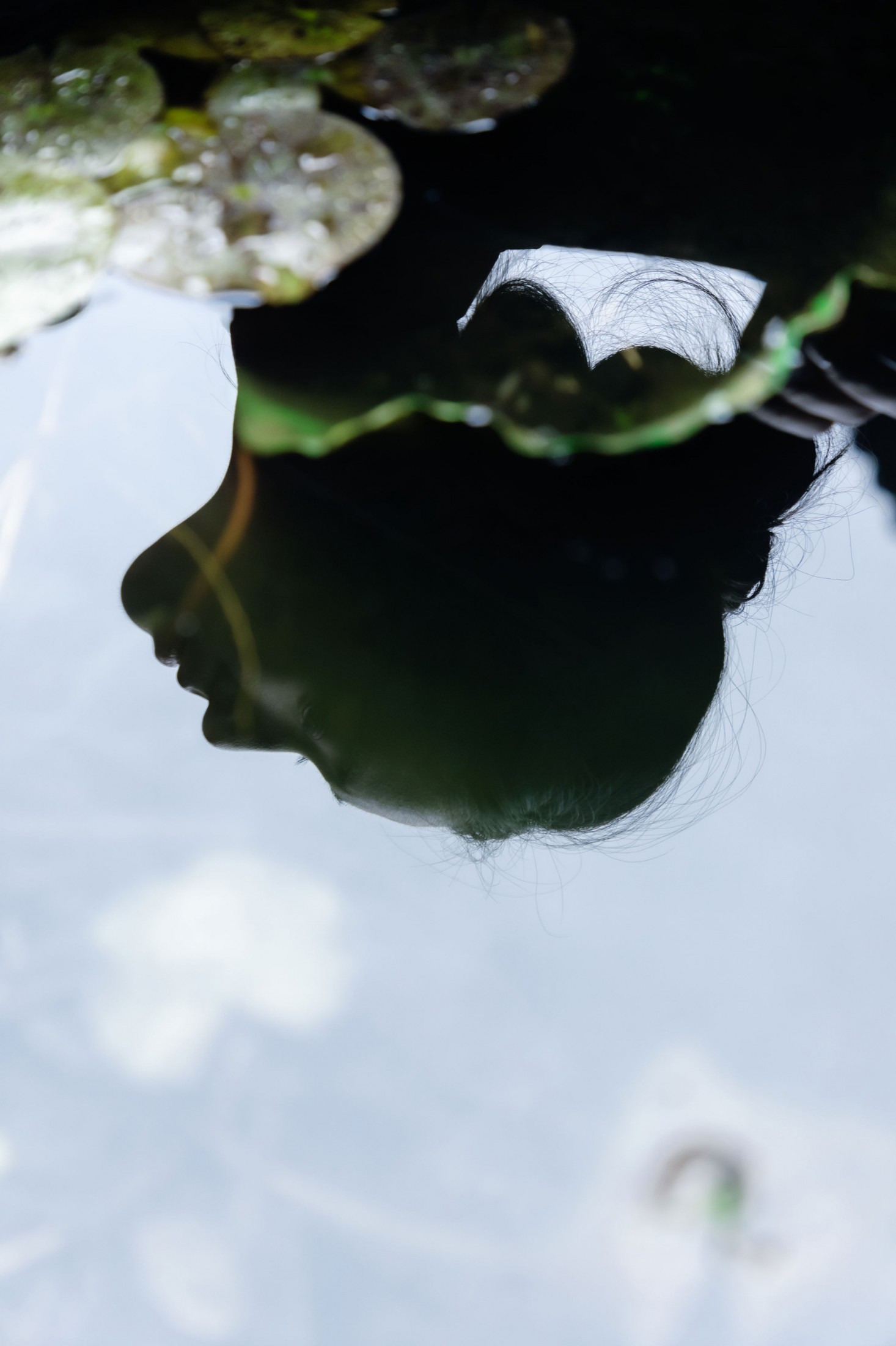 图片[1] - 《水中画》[14P] - 机器猫次元 - 机器猫次元
