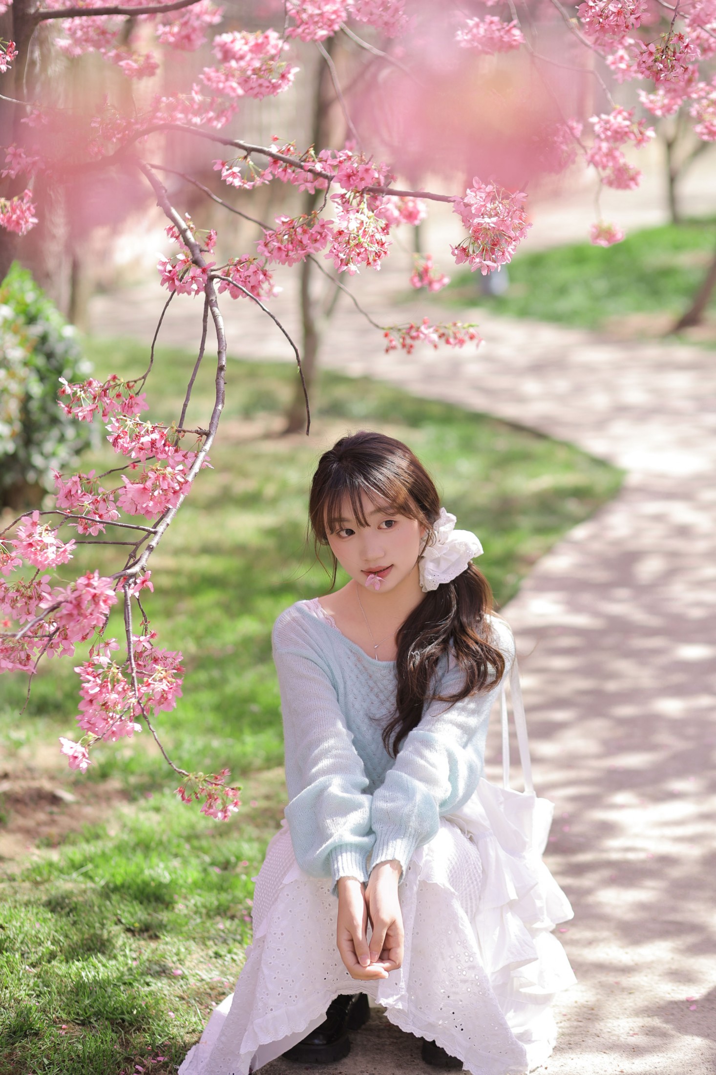 图片[4] - 《春日限定樱花季》[21P] - 机器猫次元 - 机器猫次元