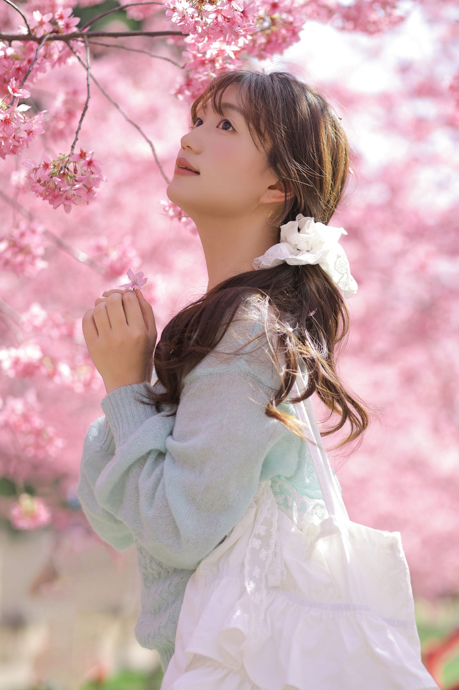 图片[8] - 《春日限定樱花季》[21P] - 机器猫次元 - 机器猫次元