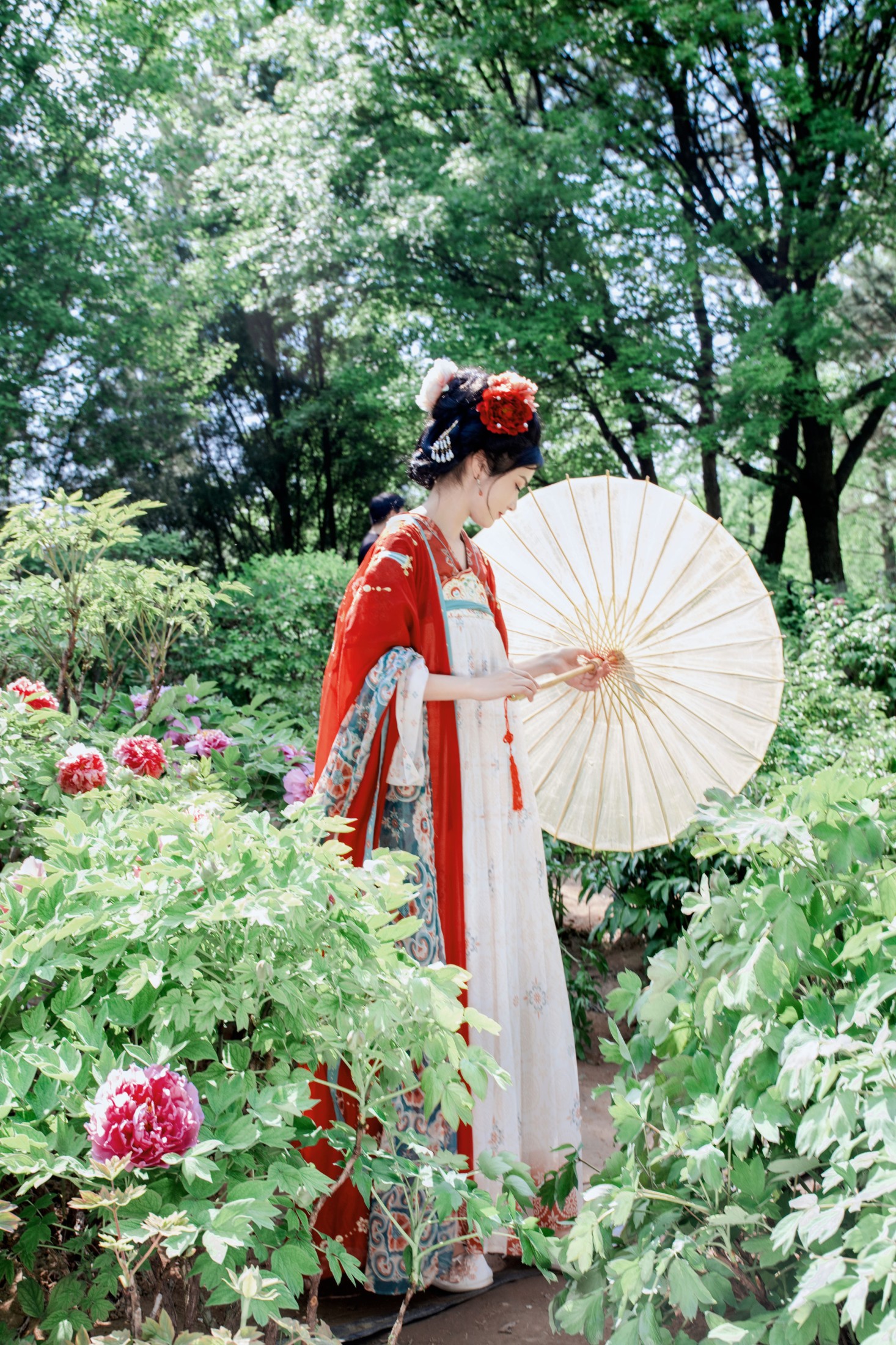 图片[4] - 《牡丹开，好运来》[105P] - 机器猫次元 - 机器猫次元