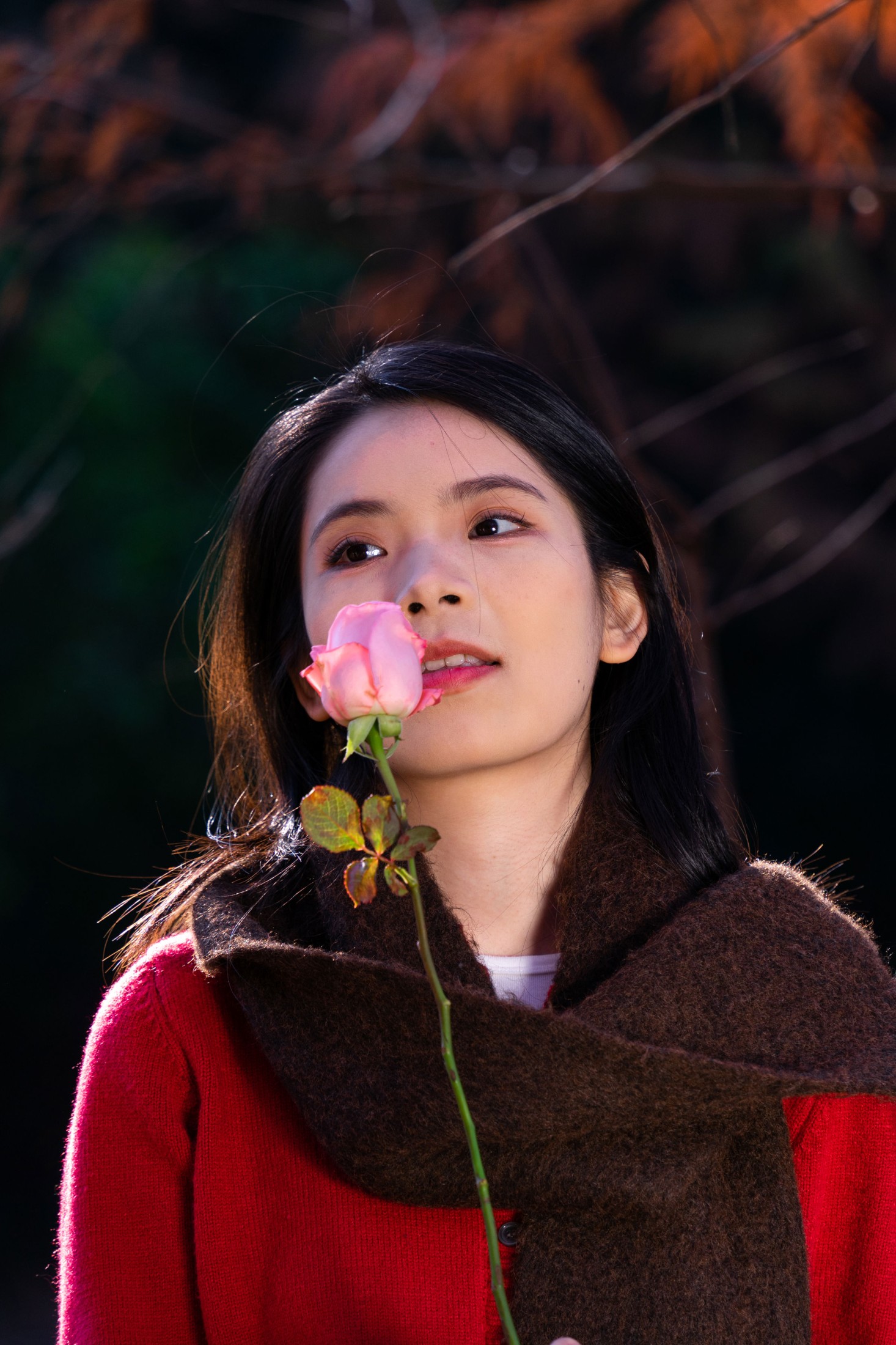 图片[2] - 《秋林玫瑰》[9P] - 机器猫次元 - 机器猫次元