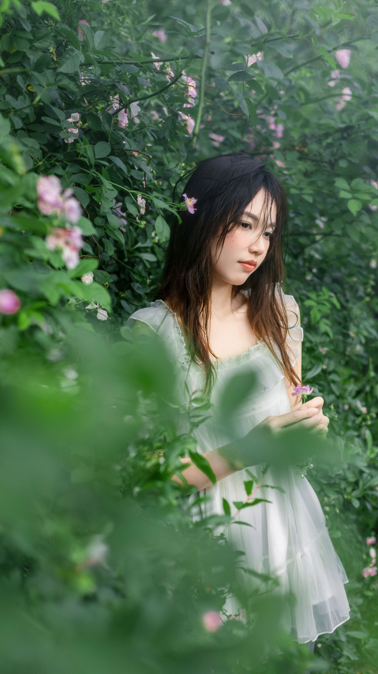 图片[6] - 《花与少女》[16P] - 机器猫次元 - 机器猫次元